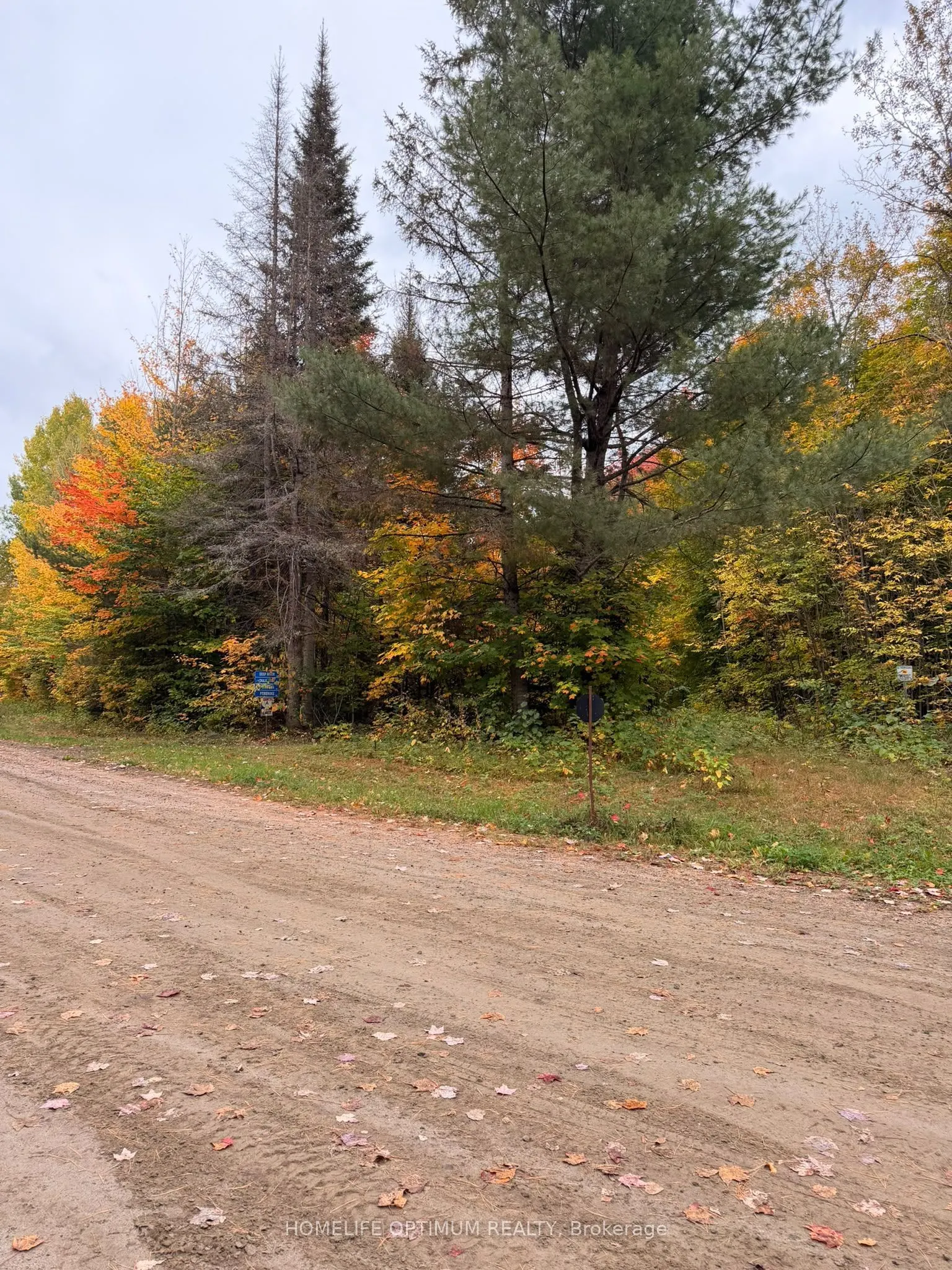 PT LT 26 CON A Loggers Road