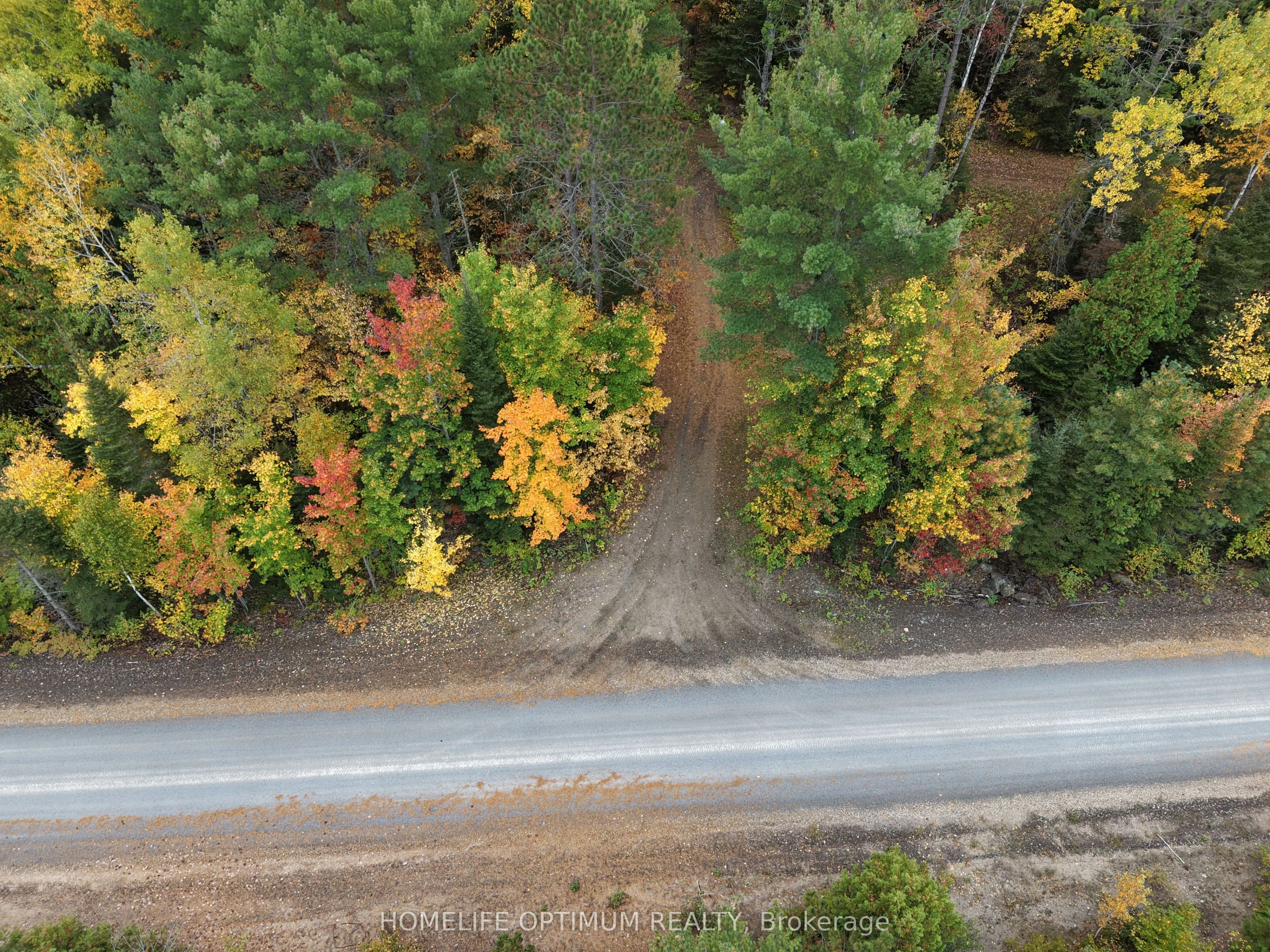 PT LT 26 CON A Loggers Road