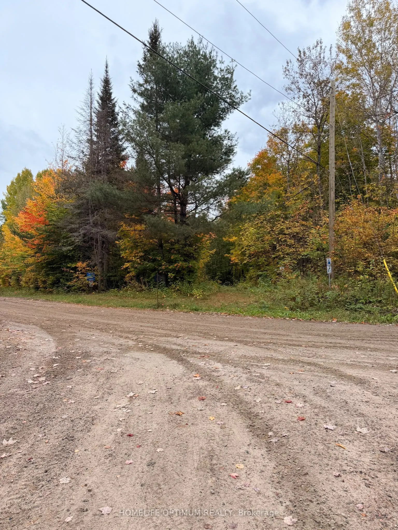 PT LT 26 CON A Loggers Road