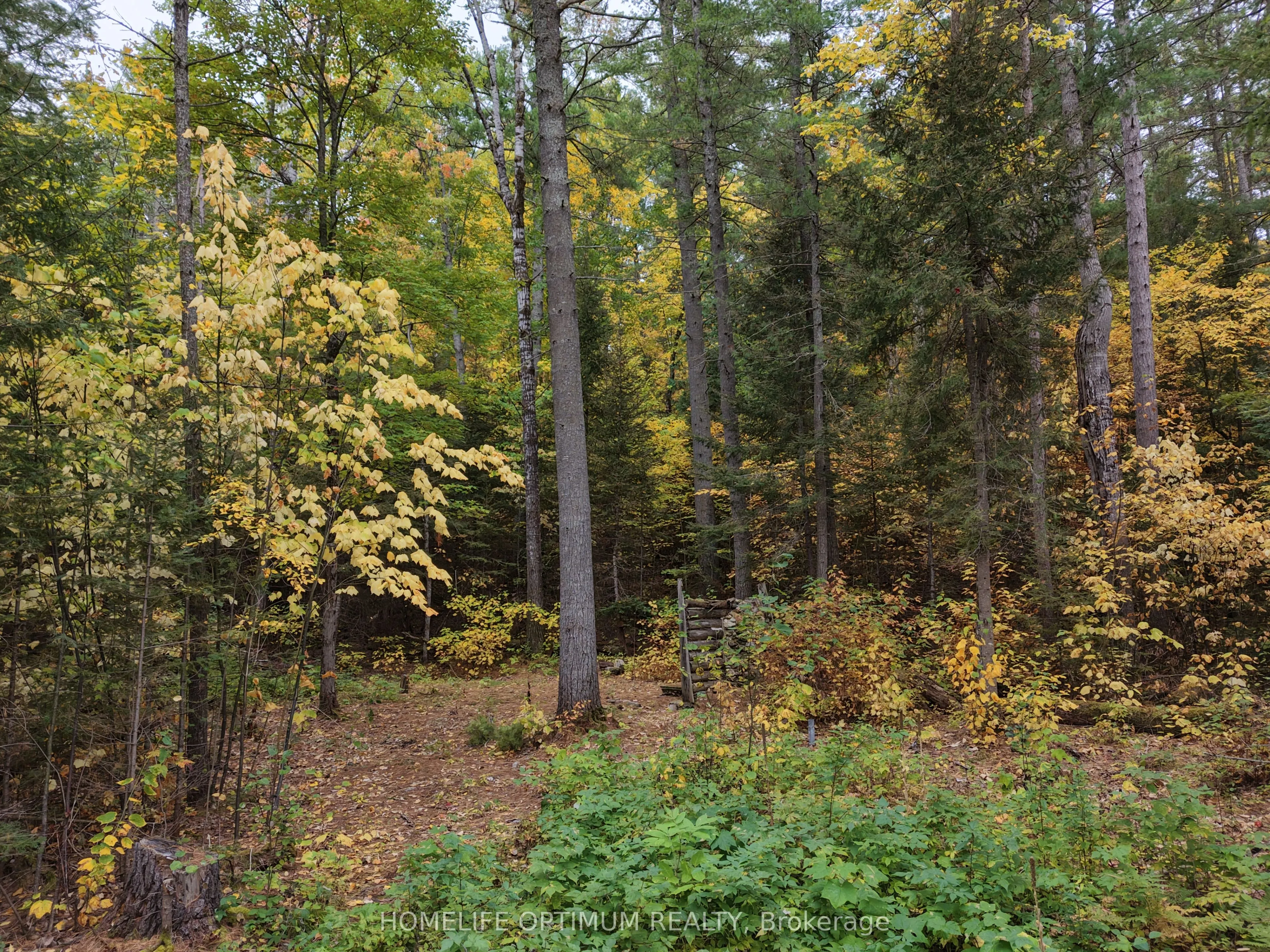 149 Buckshot Road