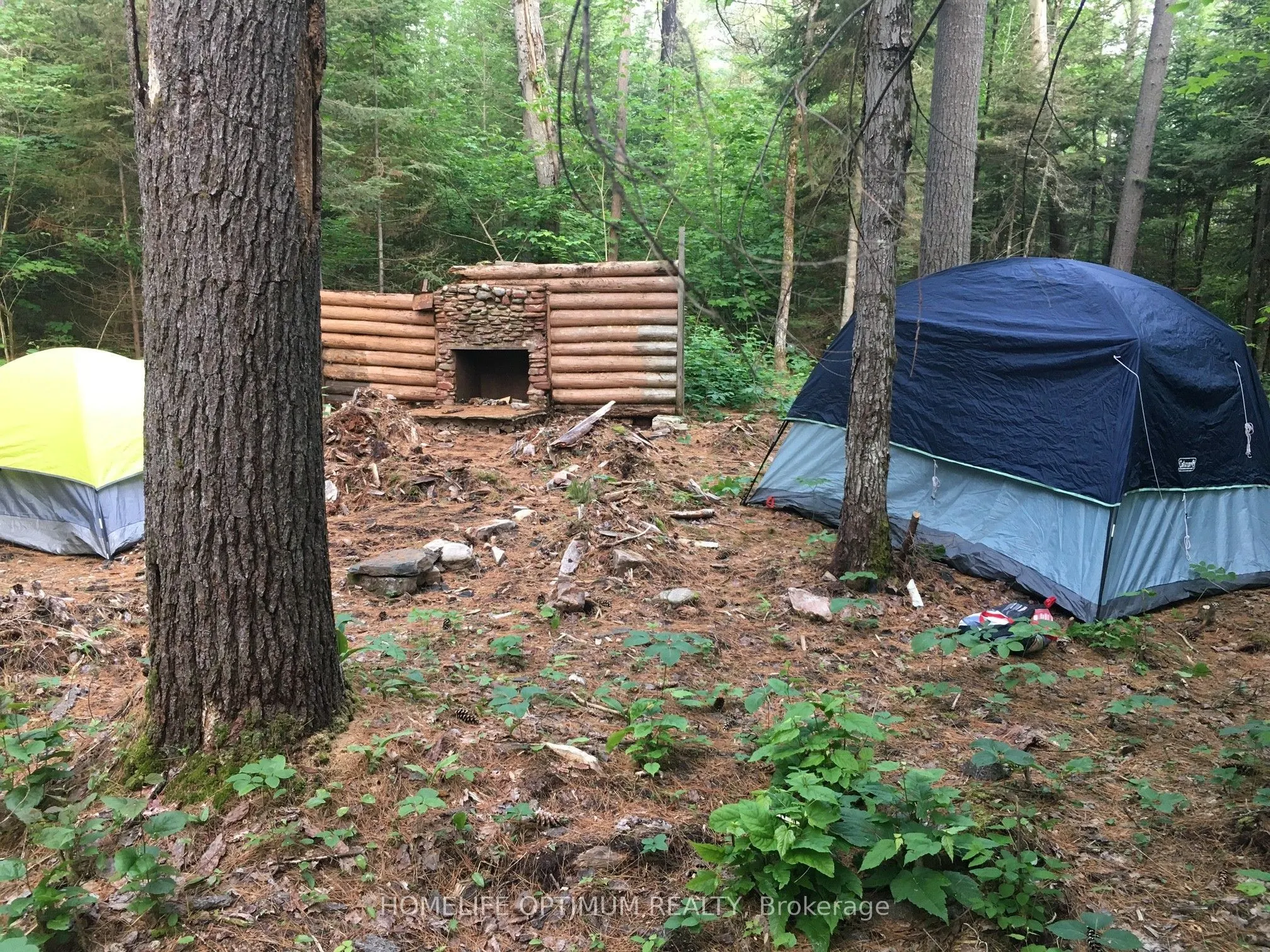 149 Buckshot Road
