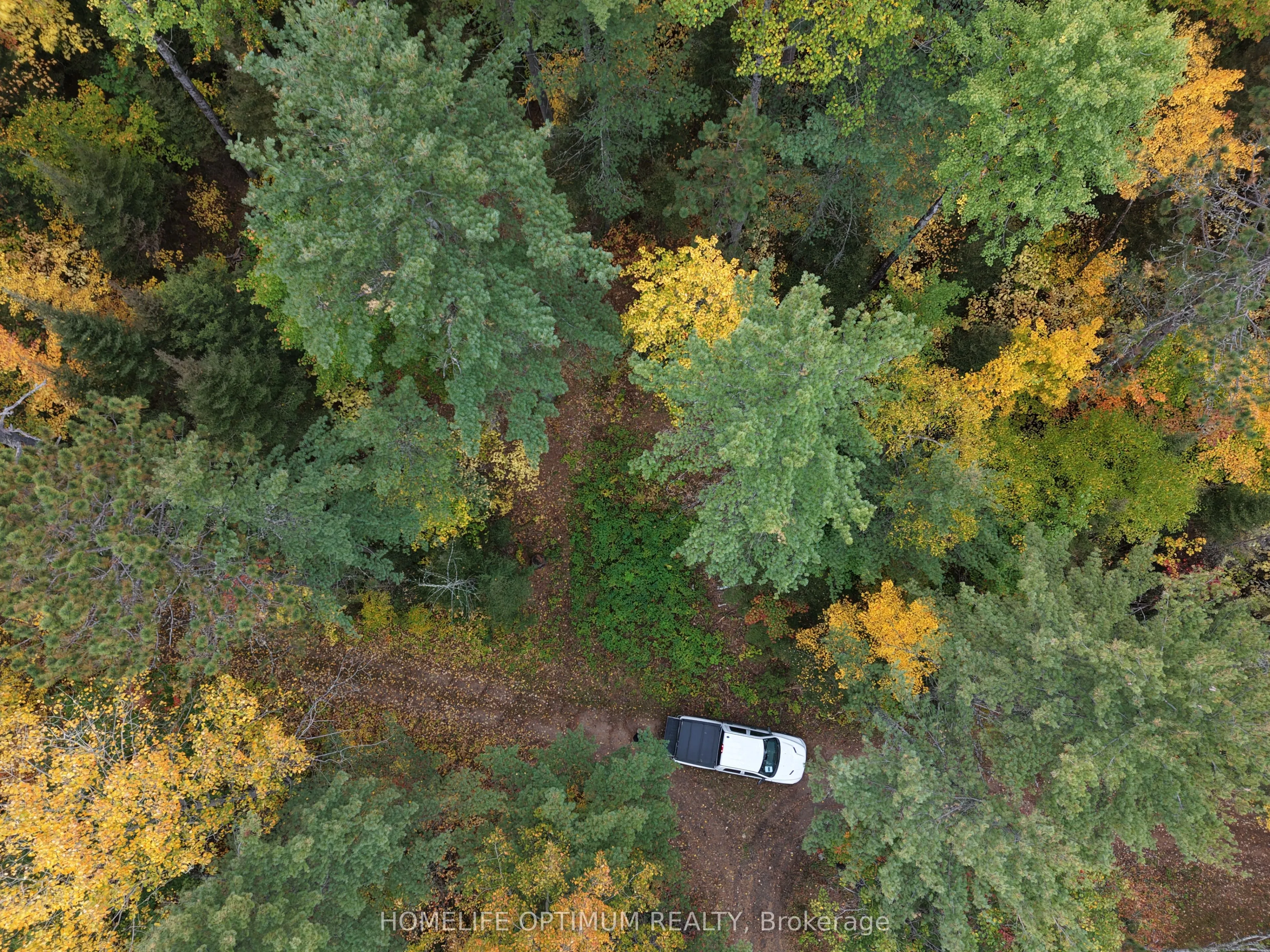 149 Buckshot Road