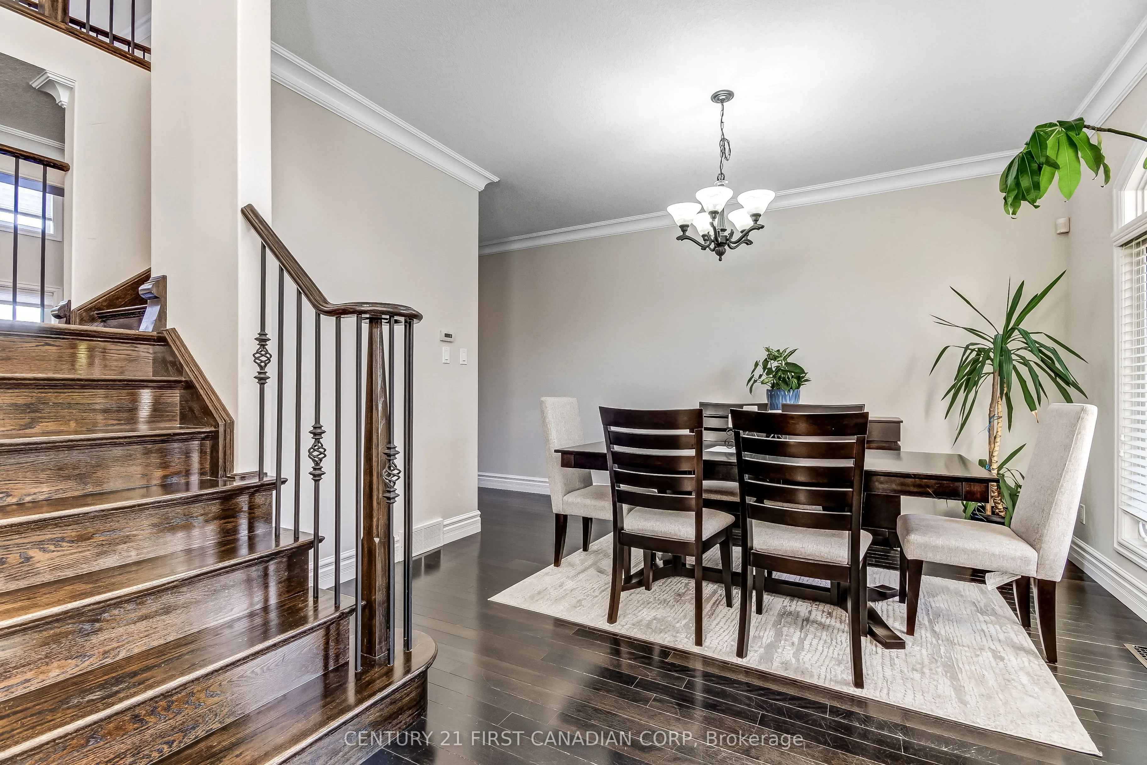 3519 Loyalist Court
