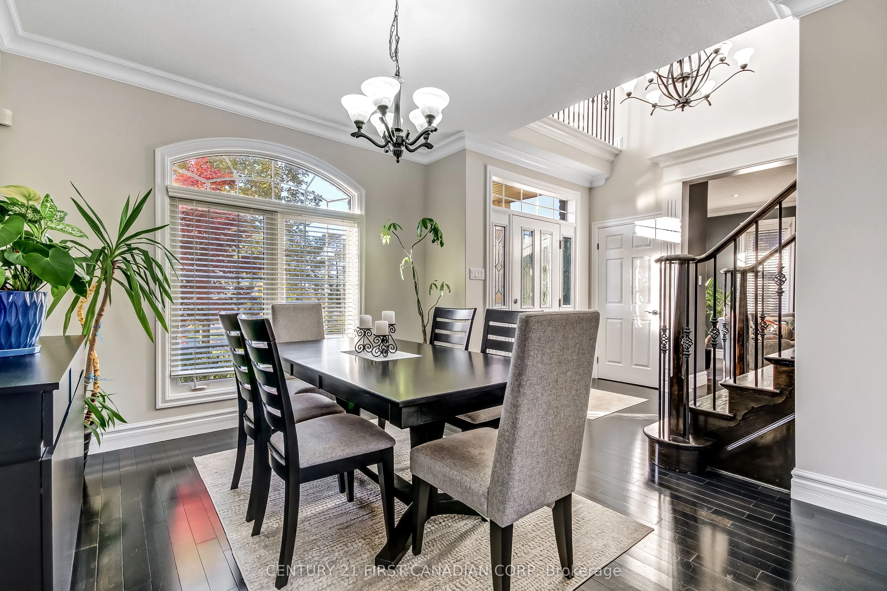 3519 Loyalist Court