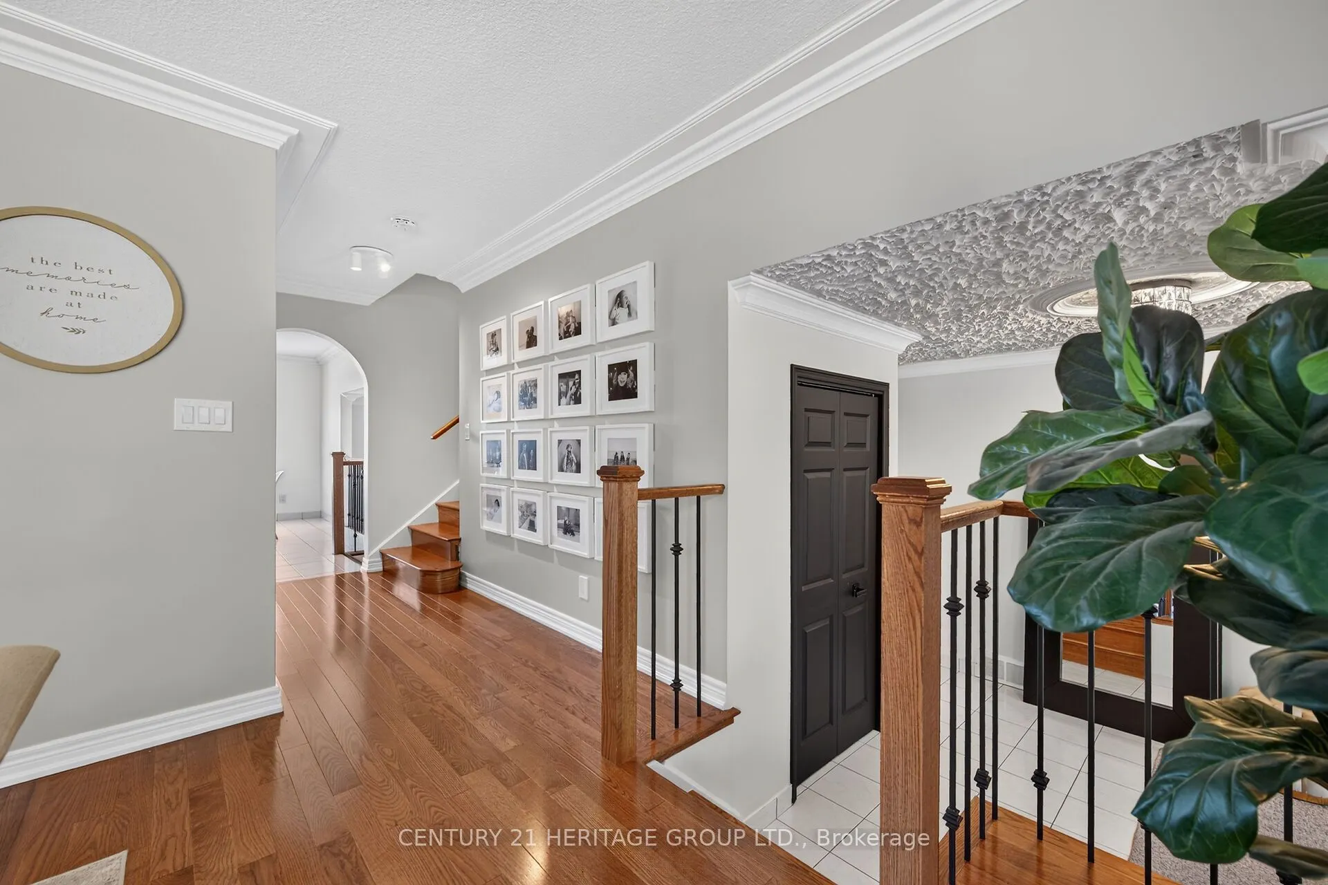 19 Meadowbrook Crescent