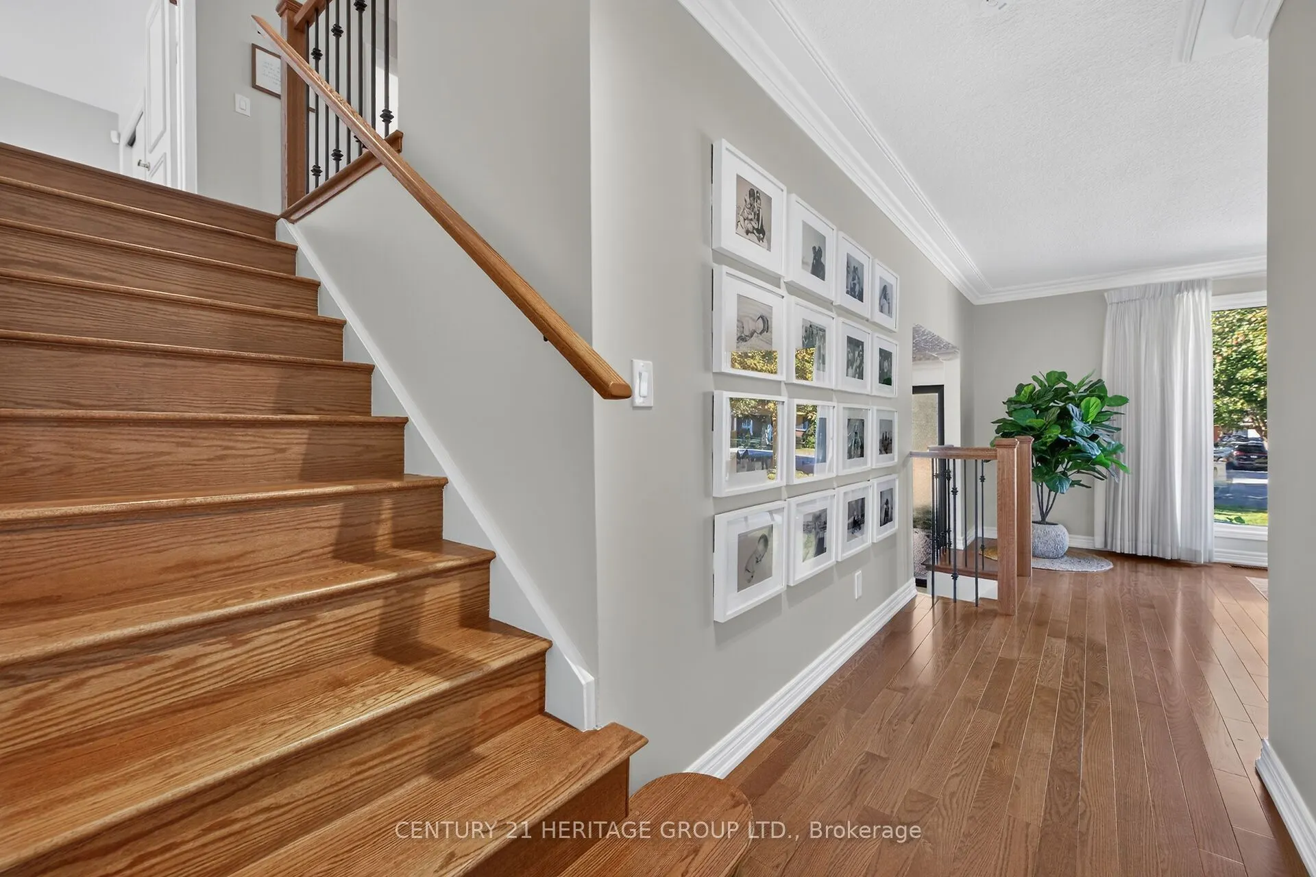 19 Meadowbrook Crescent
