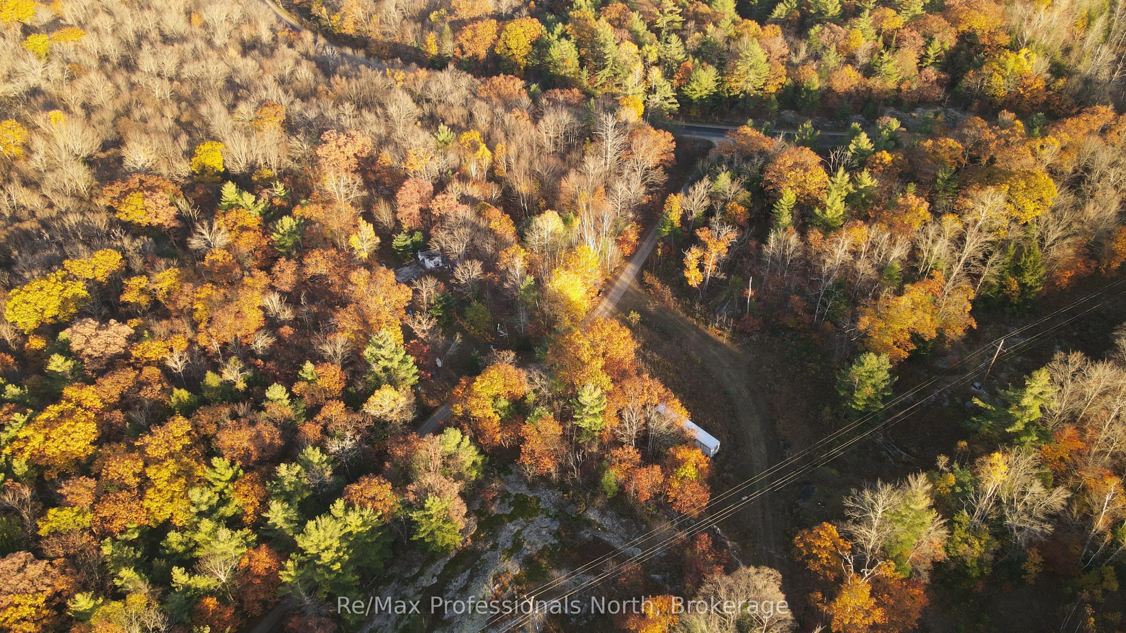 0 Muskoka Rd 38 Road