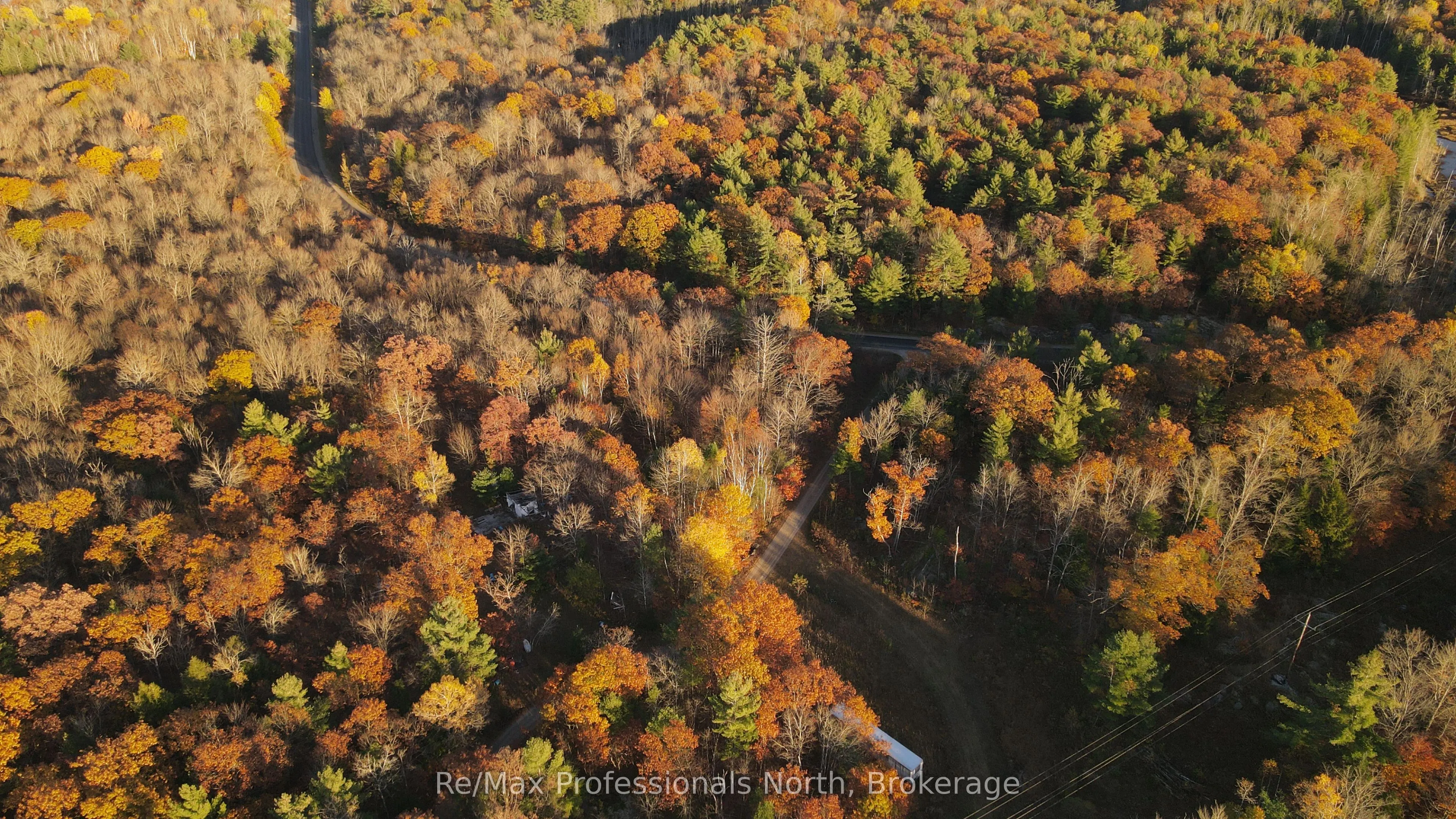 0 Muskoka Rd 38 Road