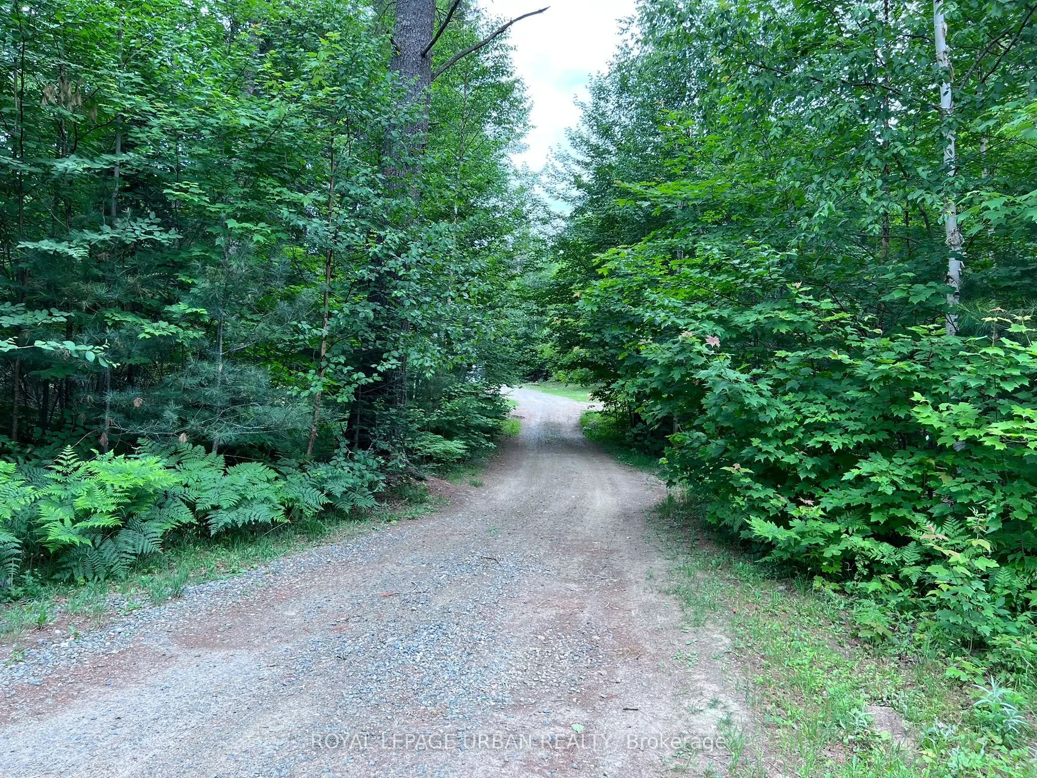606 Rye Road