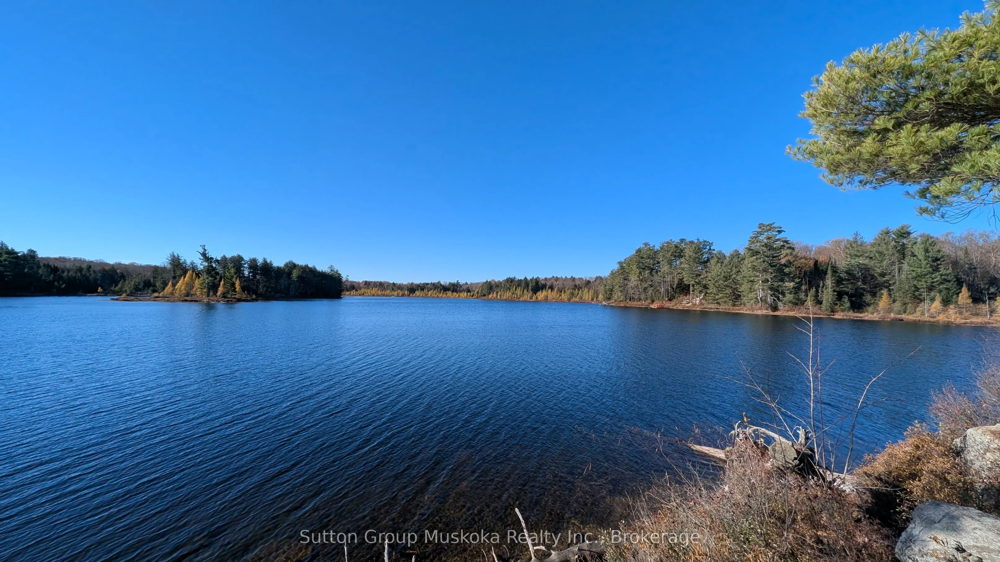 1448 Limberlost Road