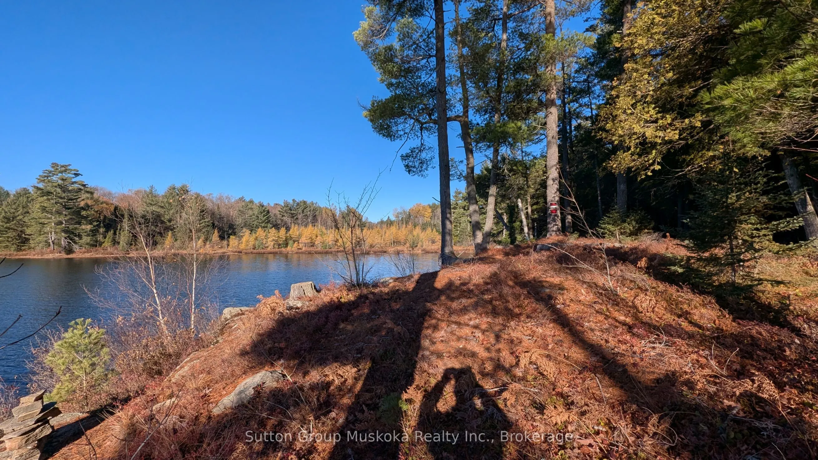 1448 Limberlost Road