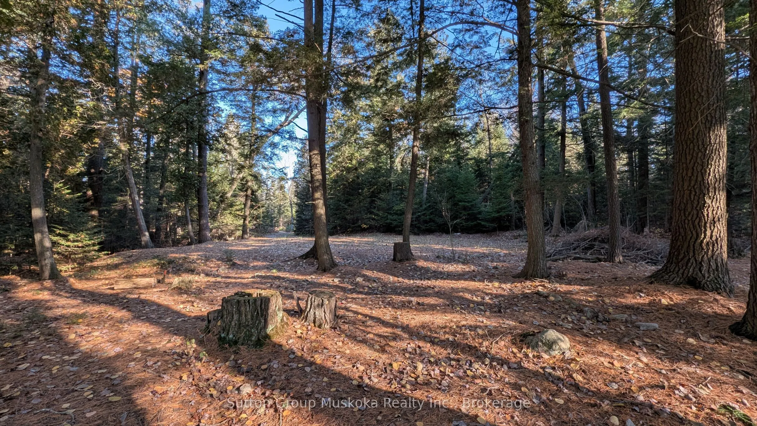 1448 Limberlost Road
