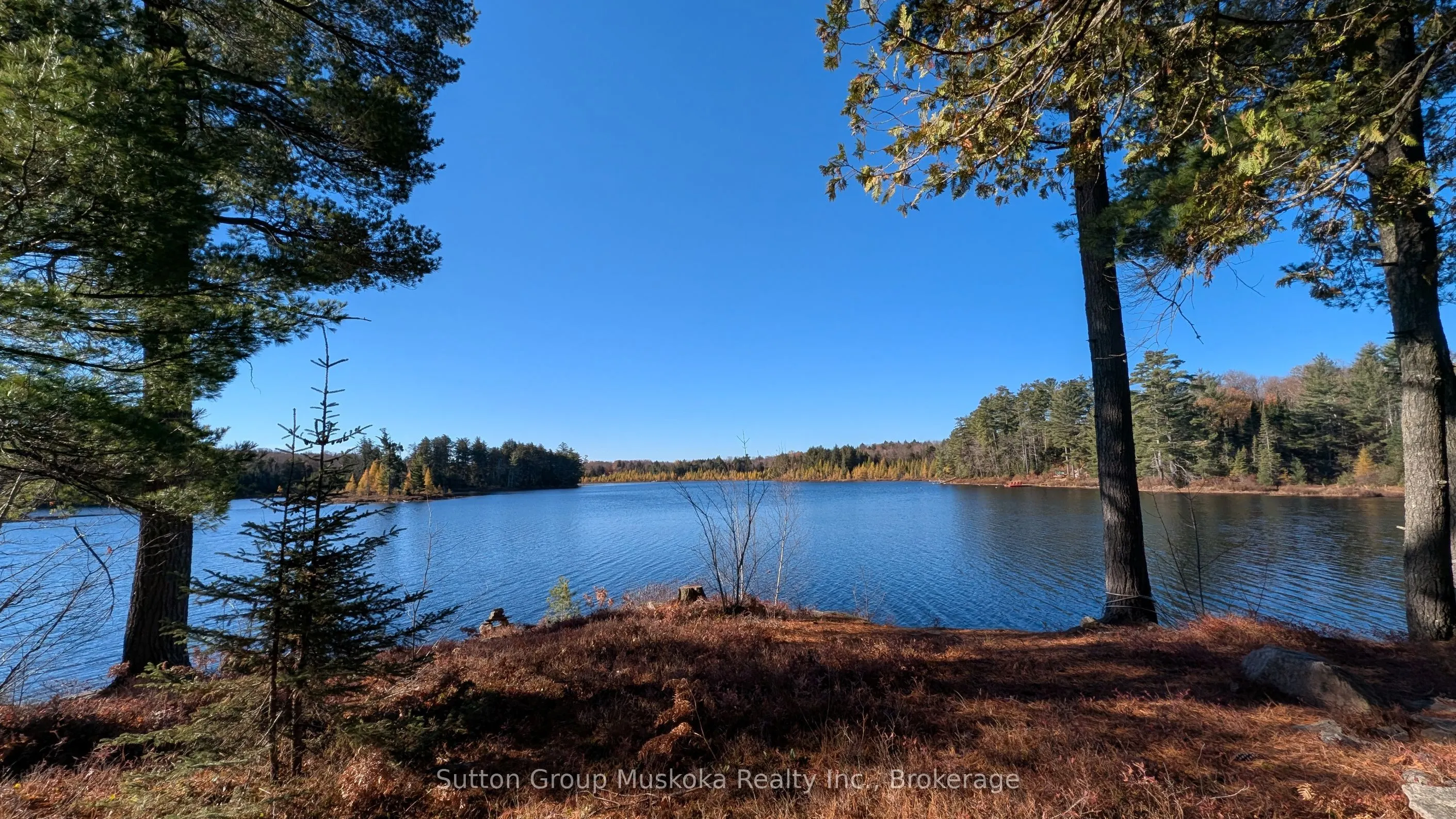 1448 Limberlost Road