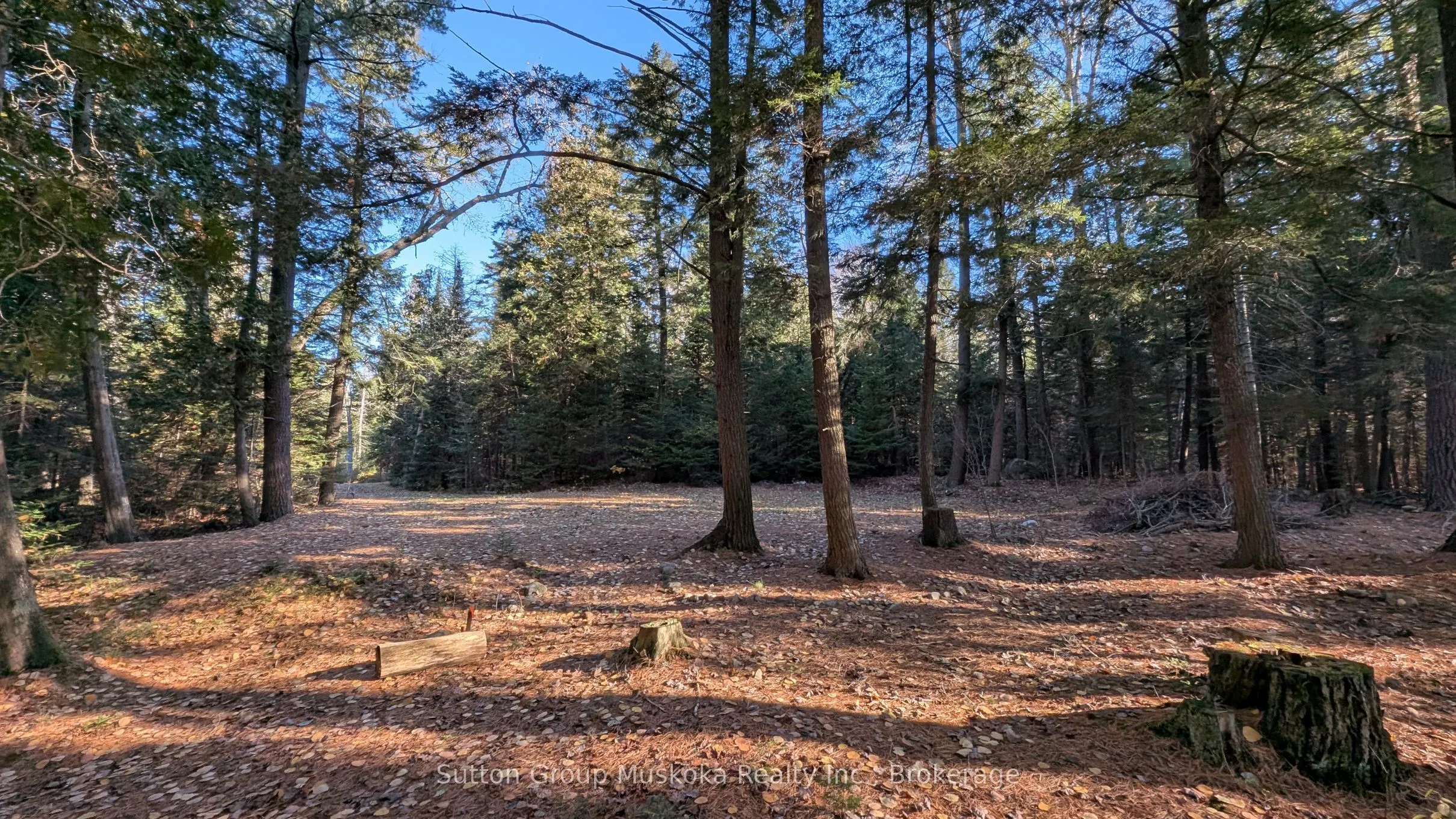1448 Limberlost Road
