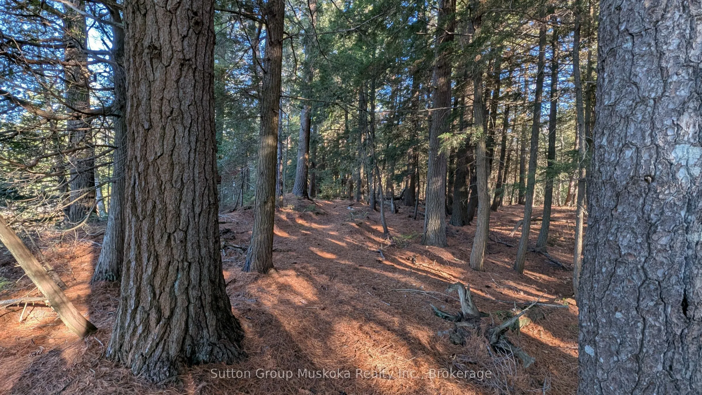 1448 Limberlost Road