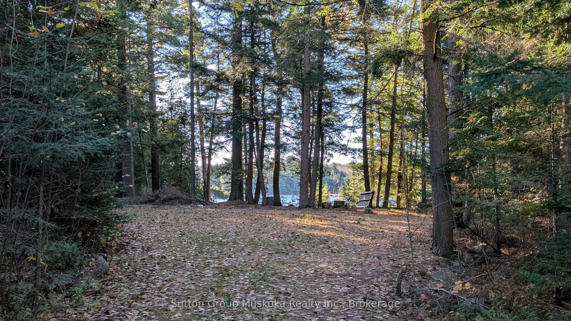 1448 Limberlost Road