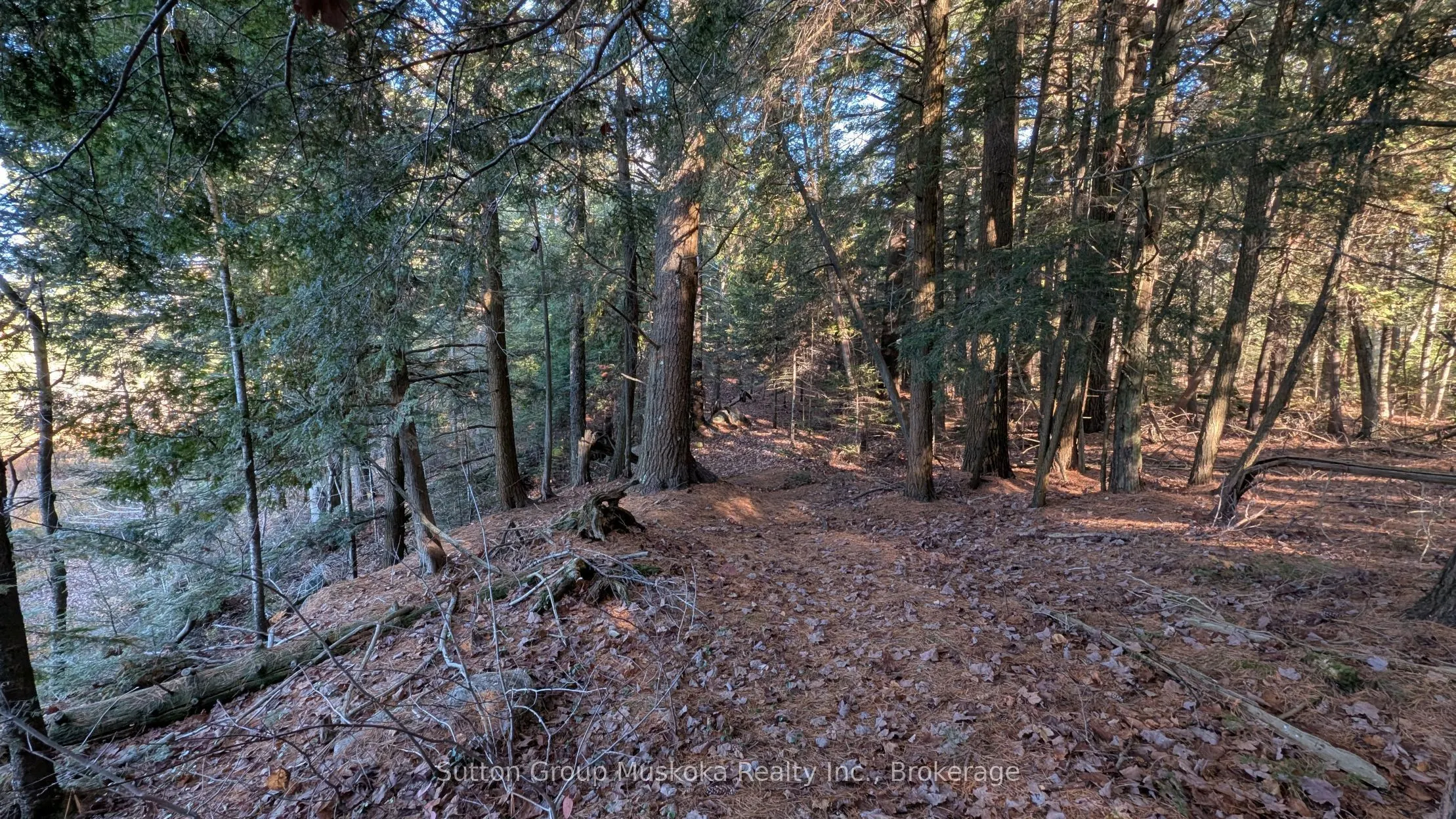1448 Limberlost Road