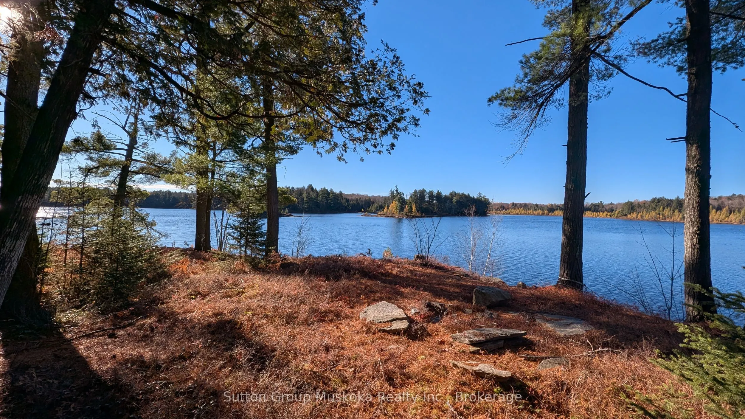 1448 Limberlost Road