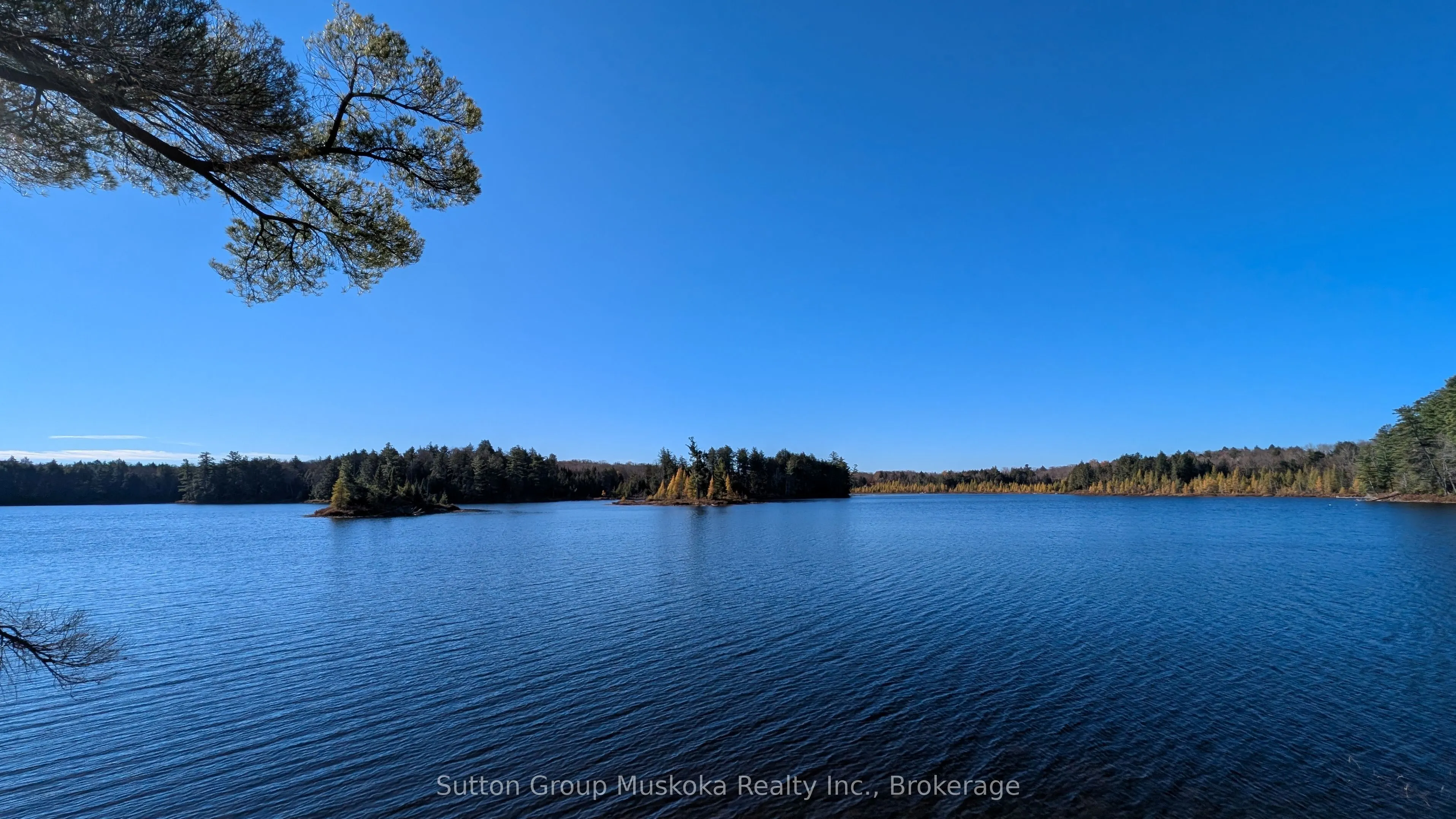 1448 Limberlost Road