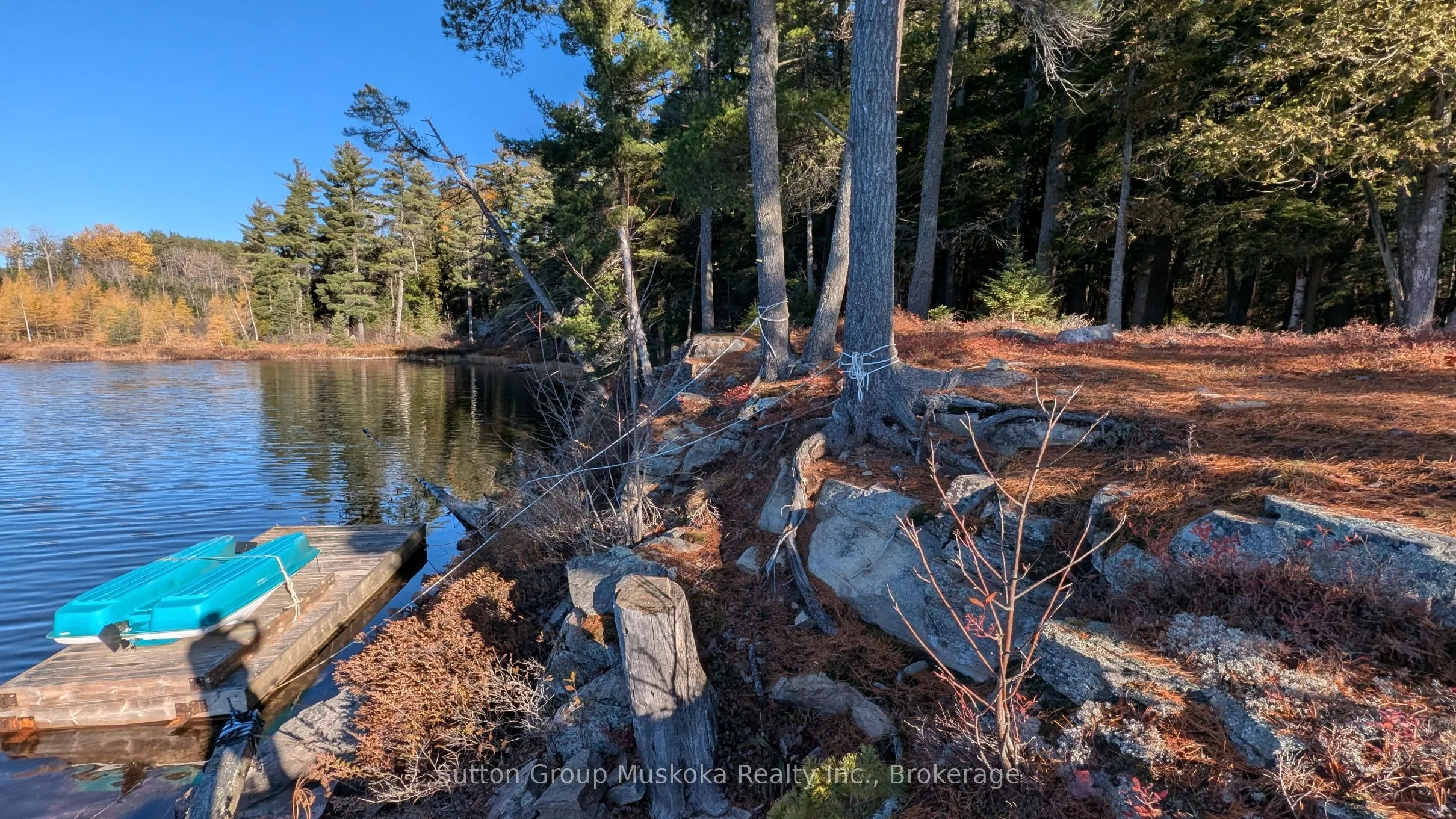 1448 Limberlost Road