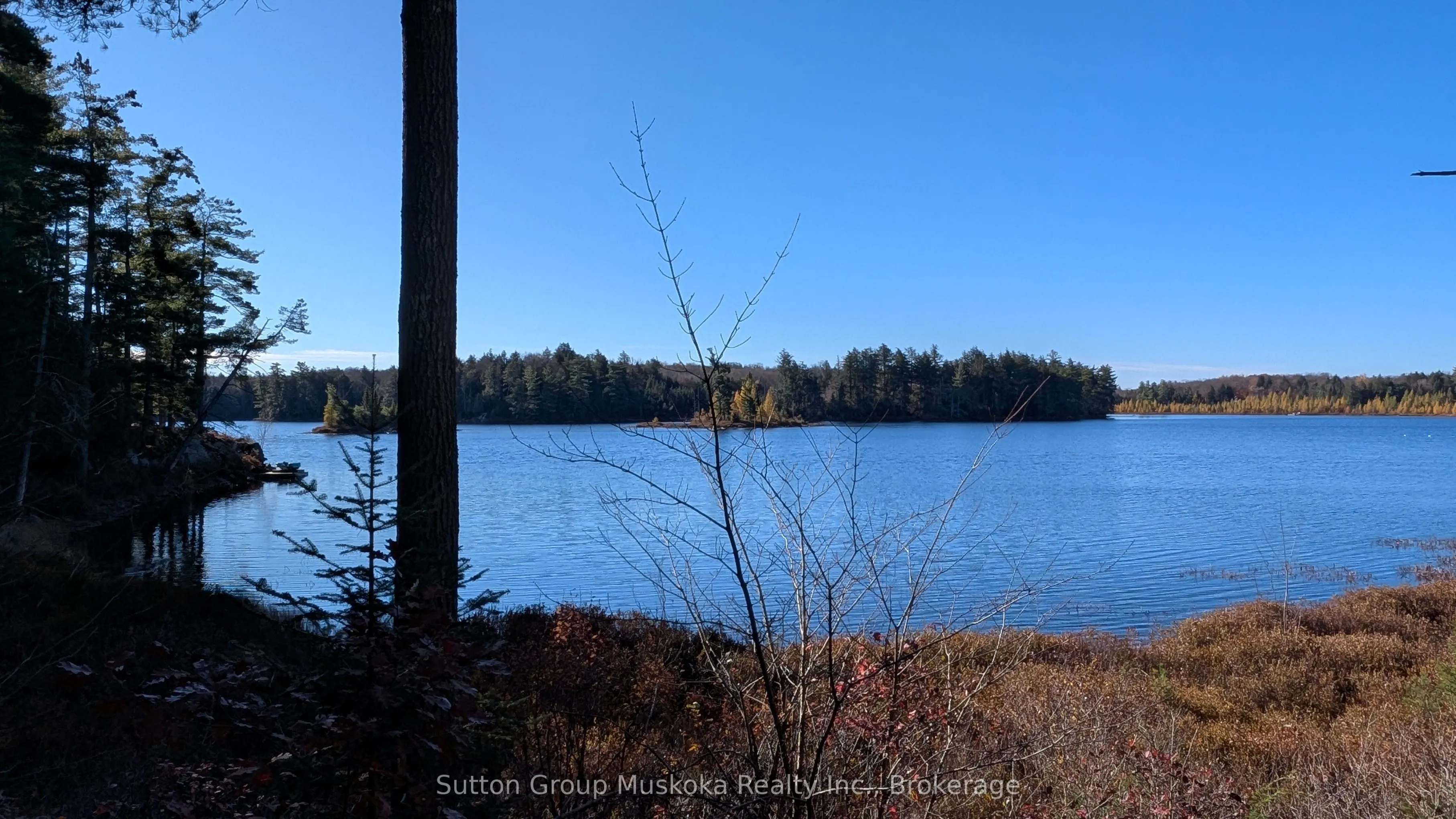 1448 Limberlost Road