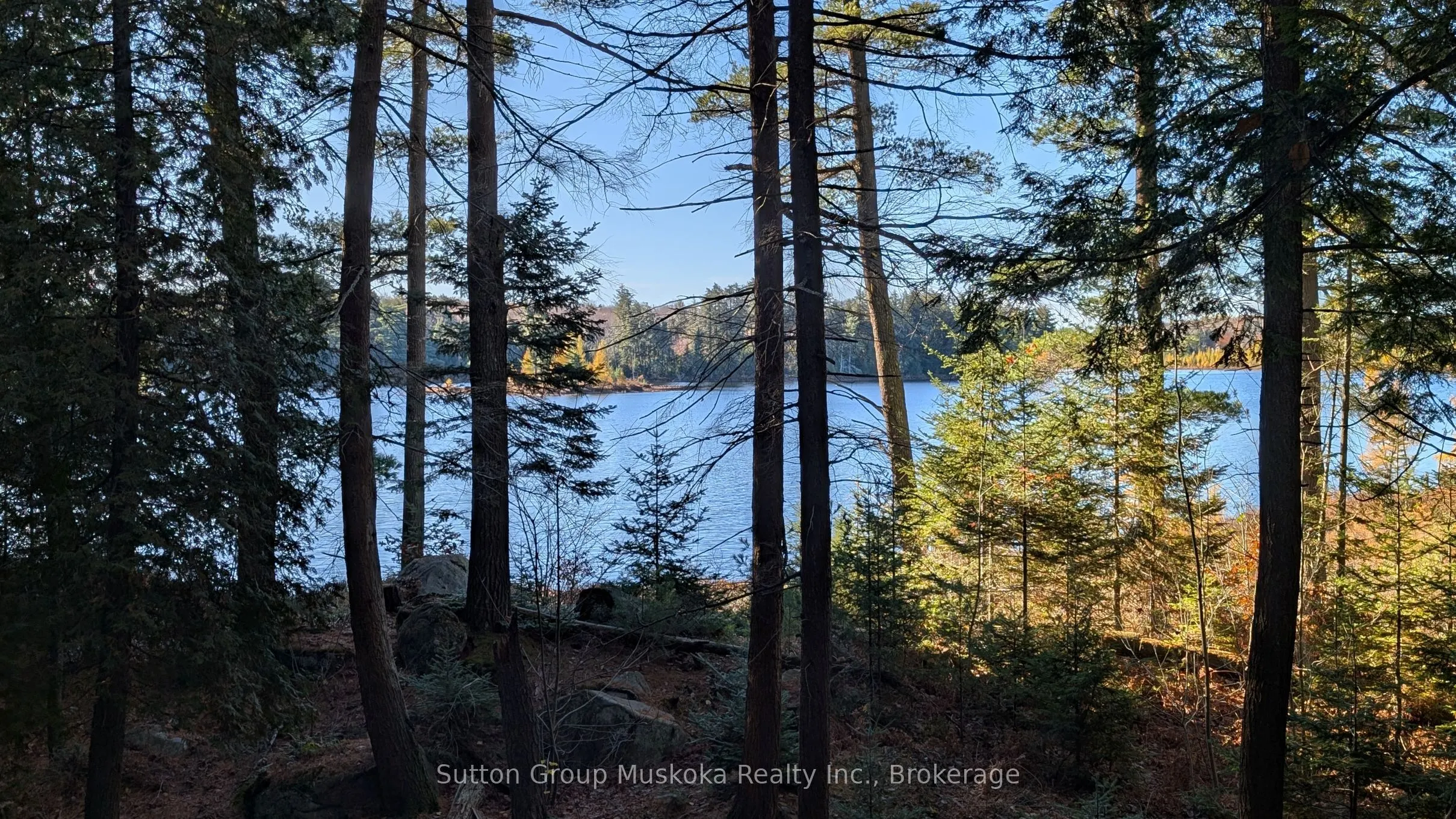 1448 Limberlost Road