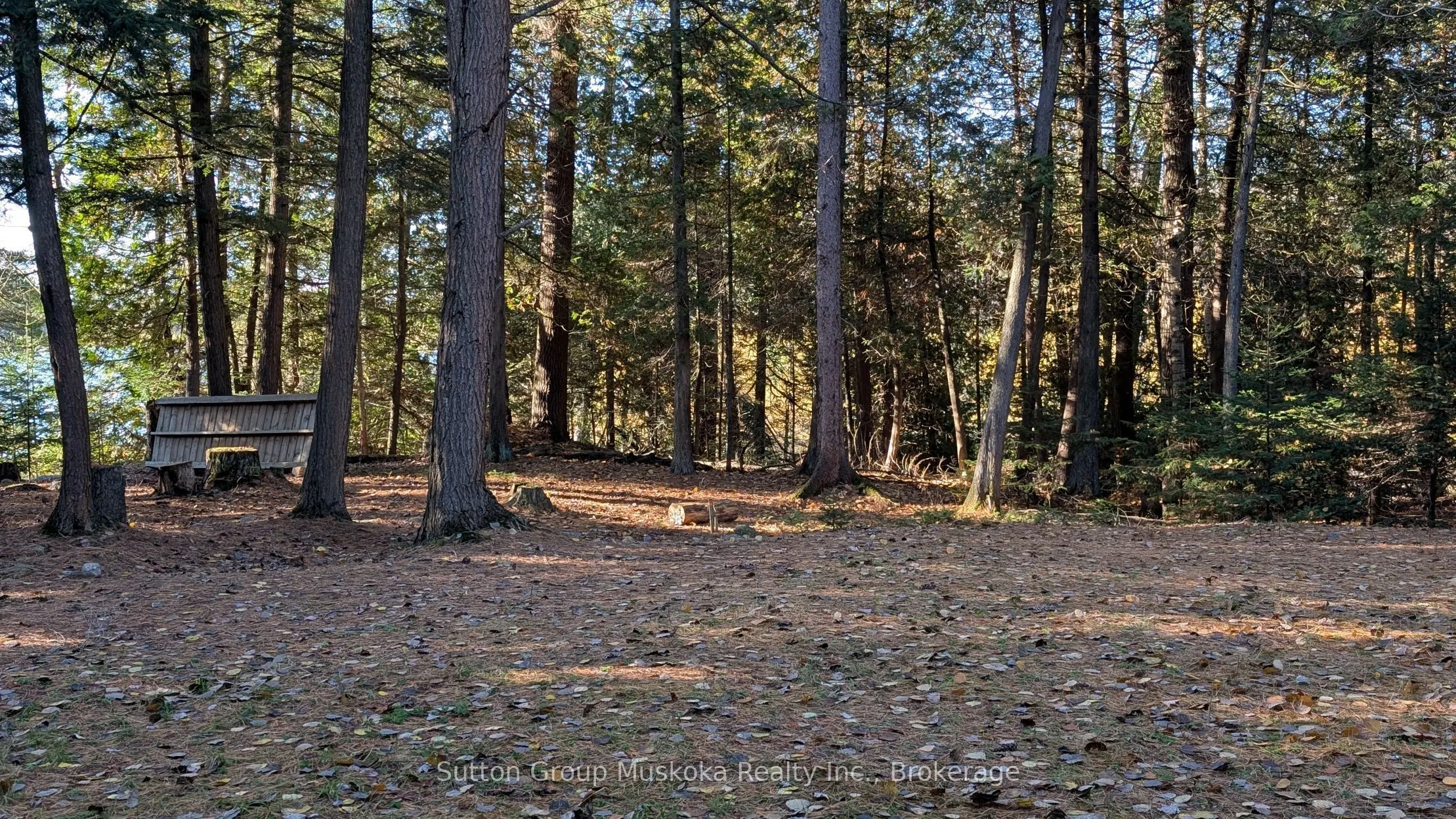 1448 Limberlost Road