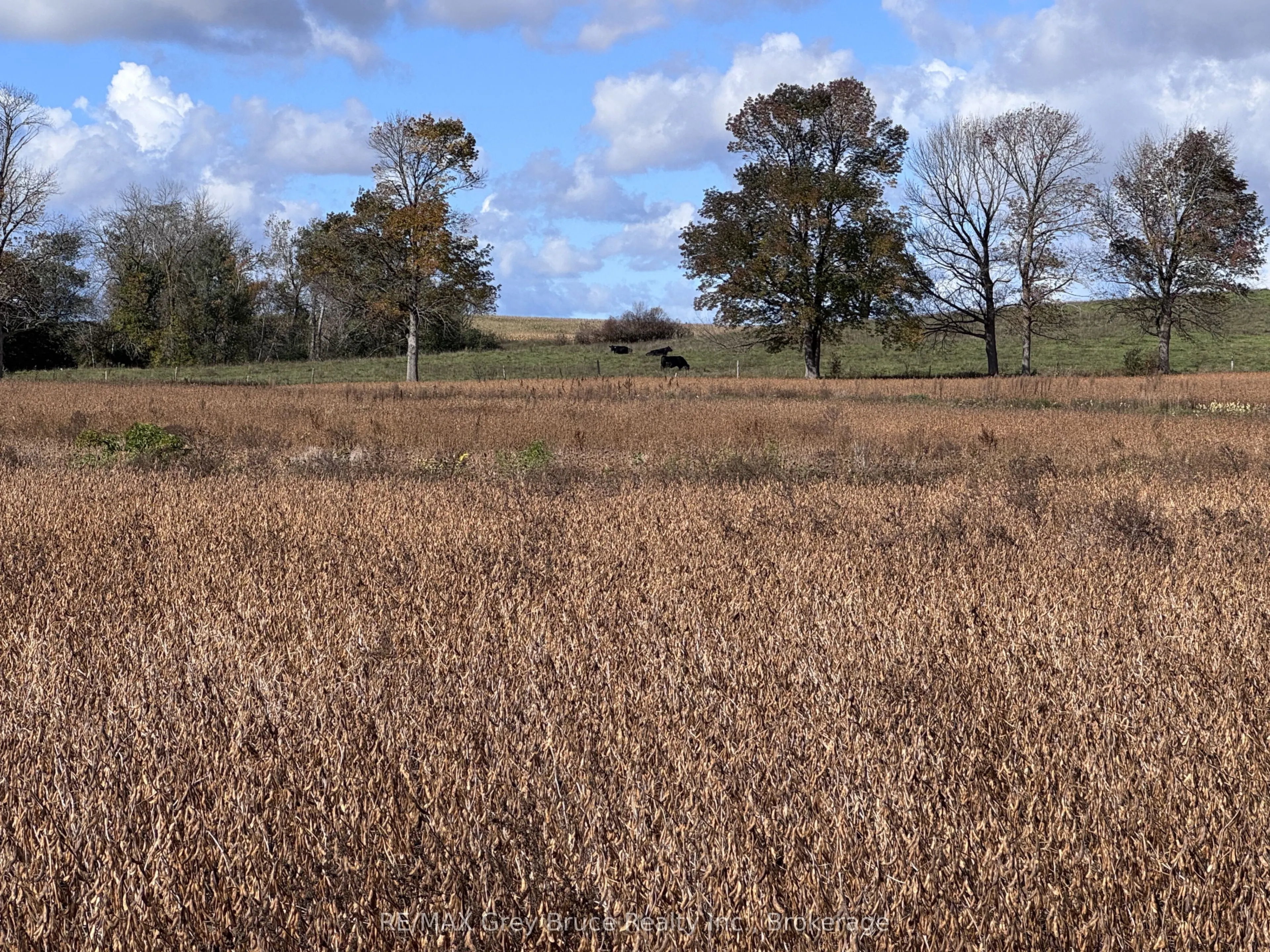 1279 25 Elderslie Side Road