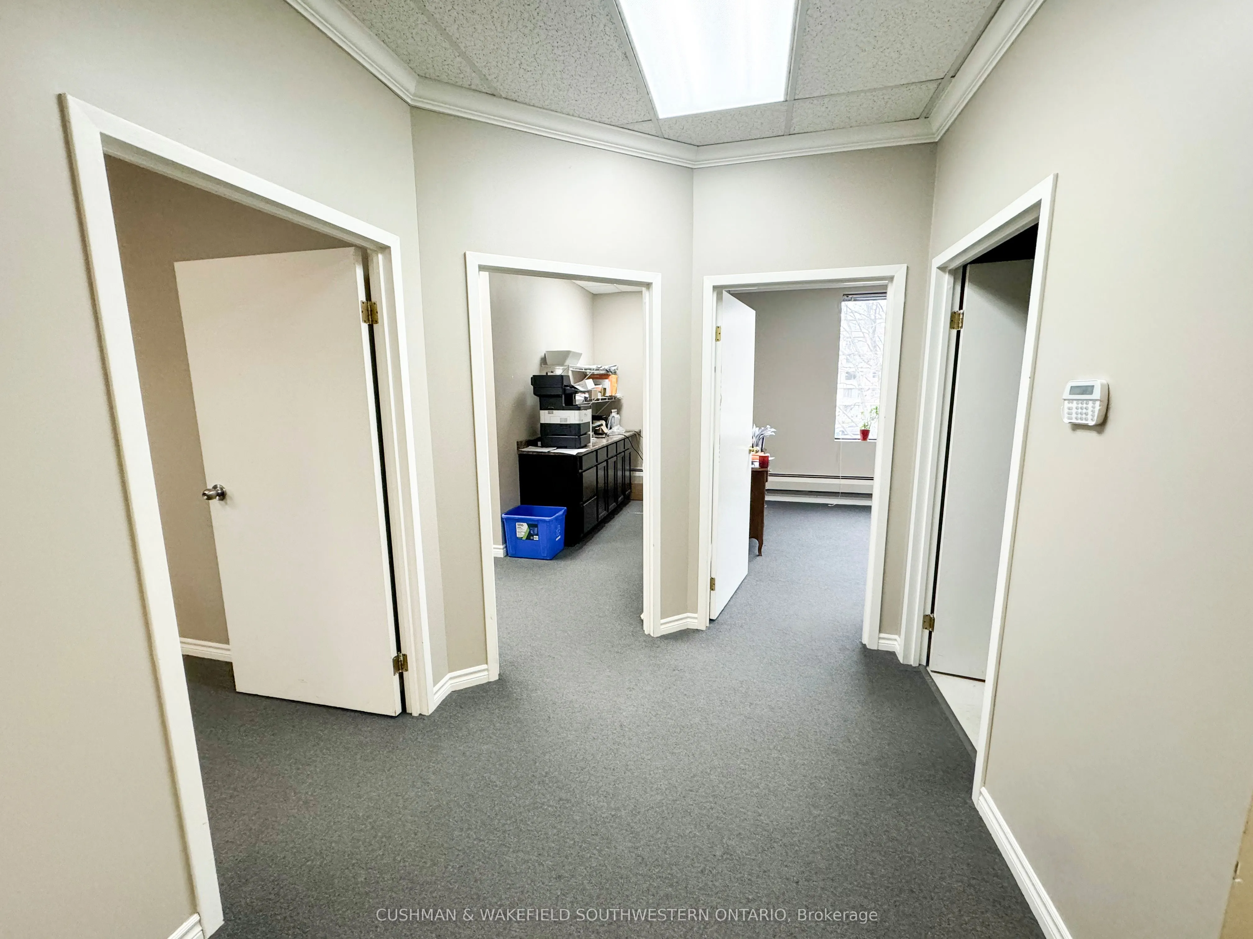 219 Oxford Street W #202 & 203