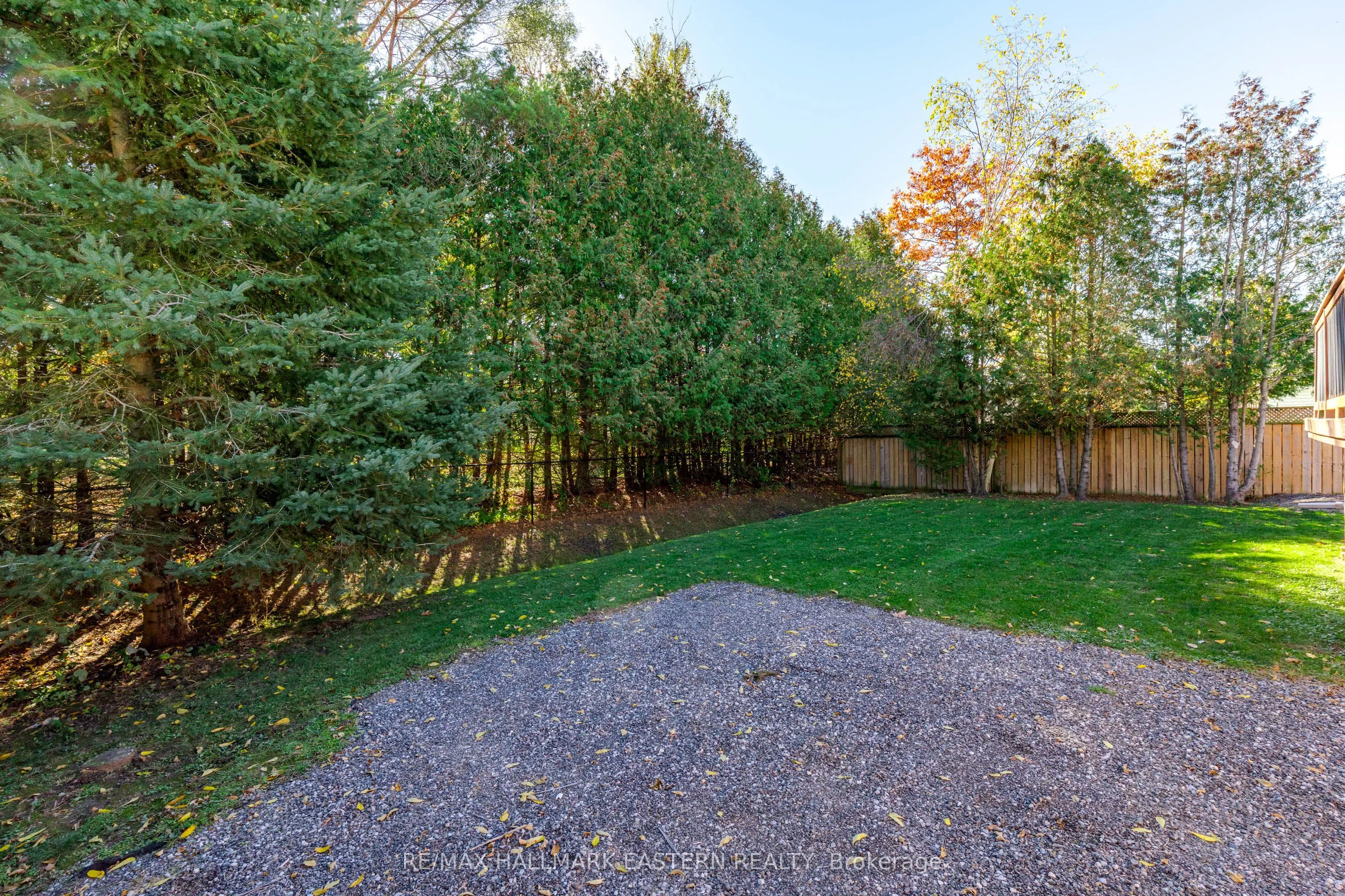 10 Springbank Road