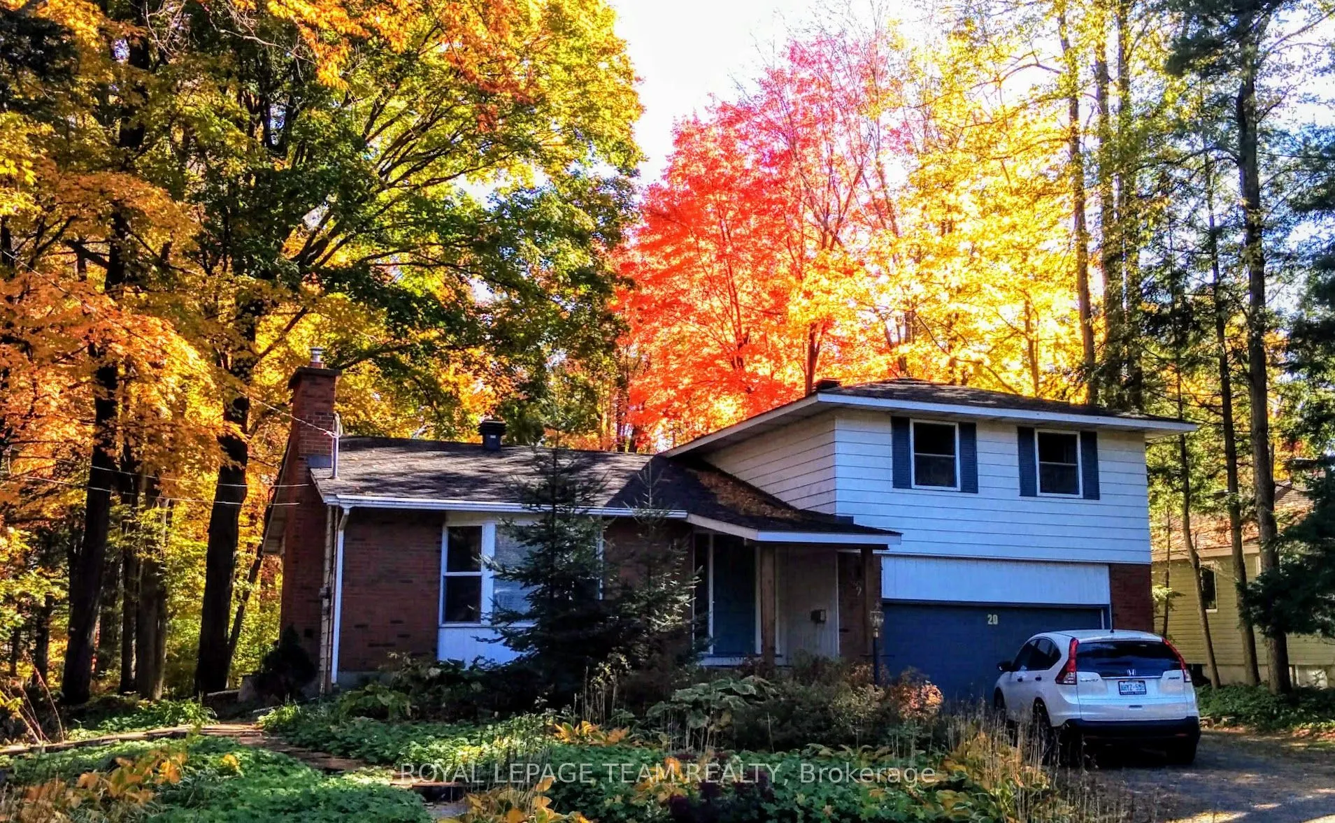 20 Gervin Street
