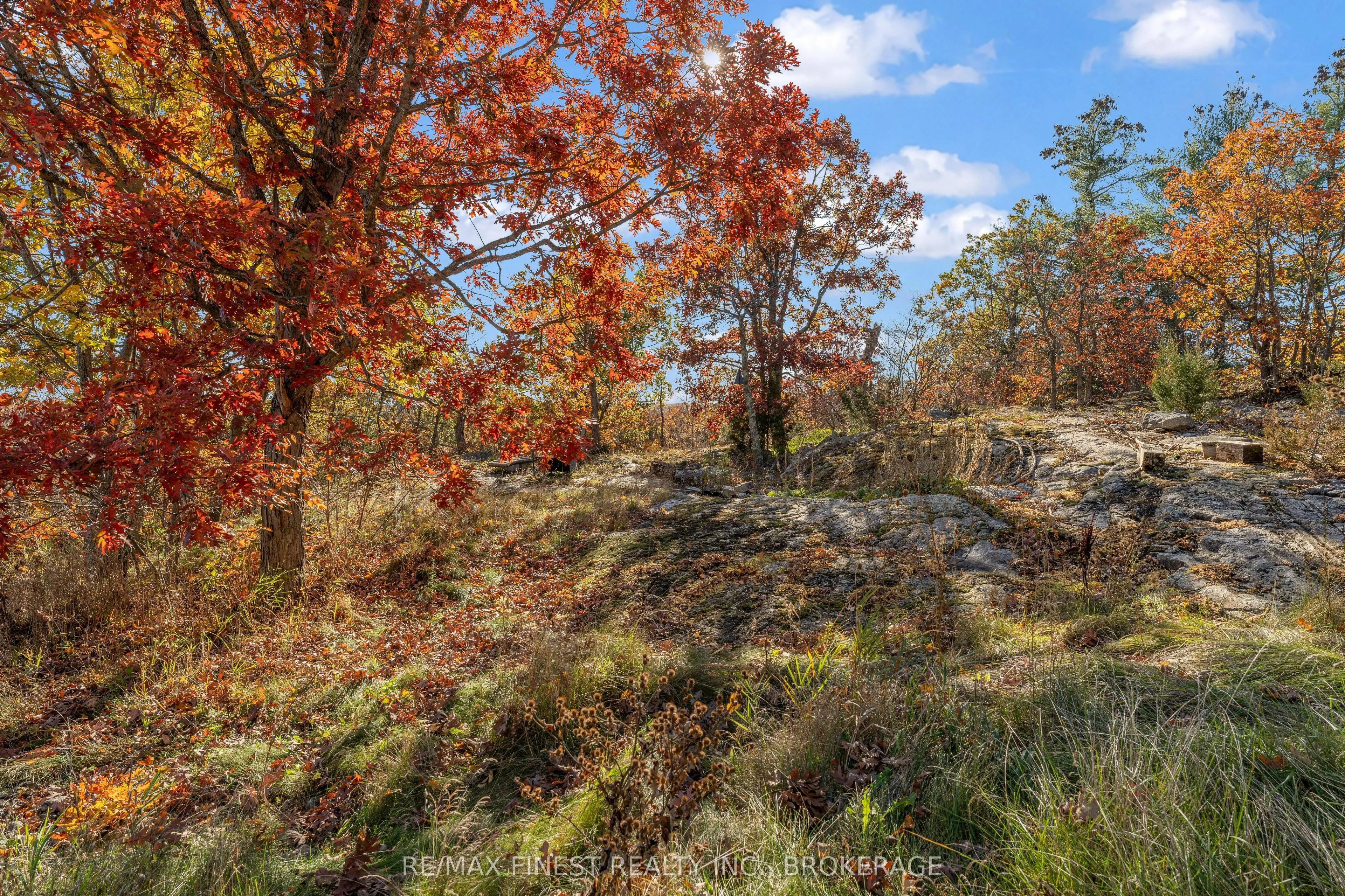 1035 Sweetfern Lane