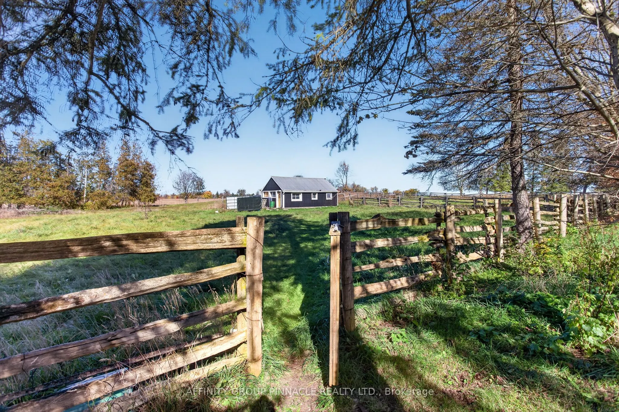 859 Eldon Road