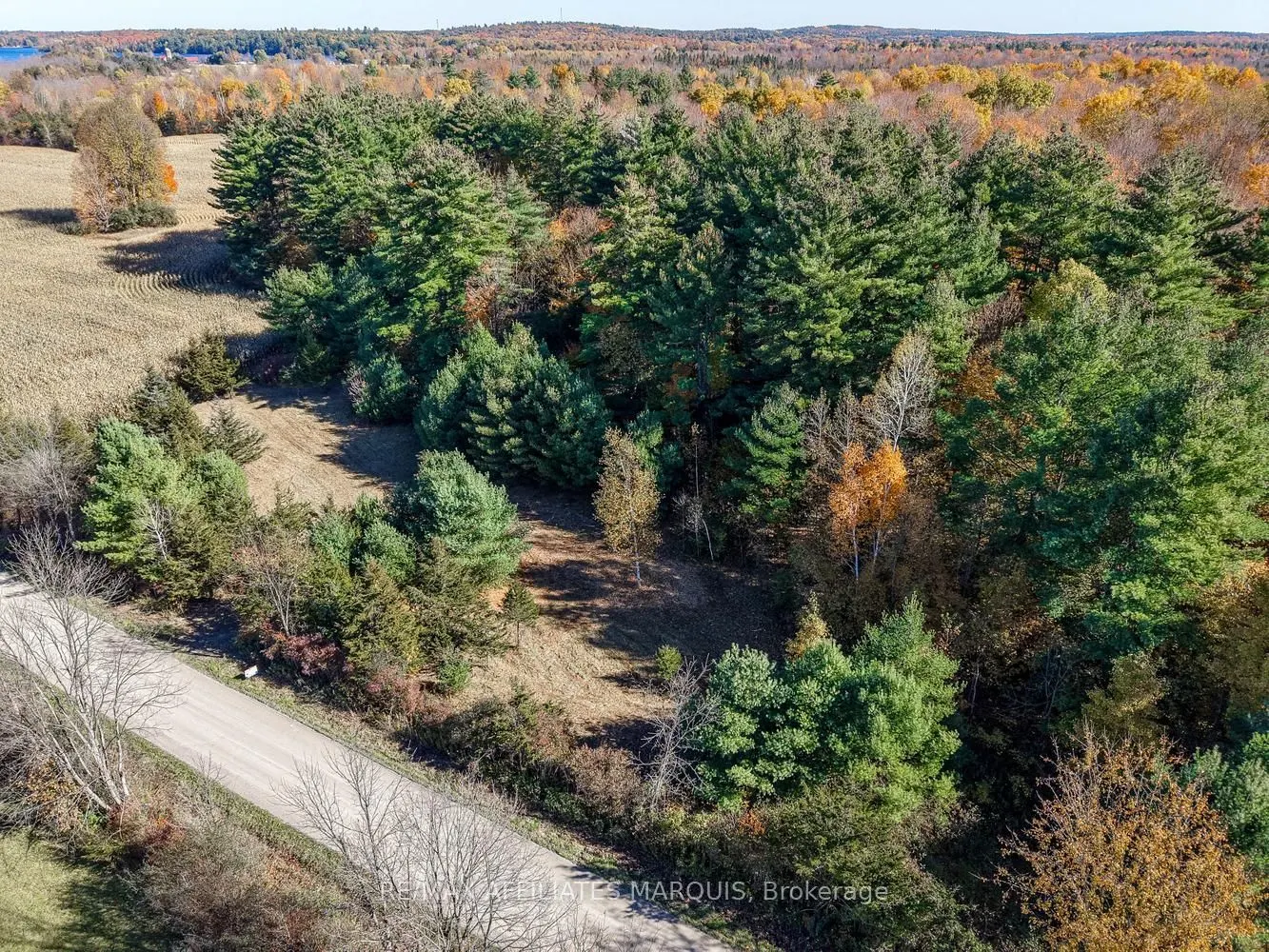 00 Fortune Line Road