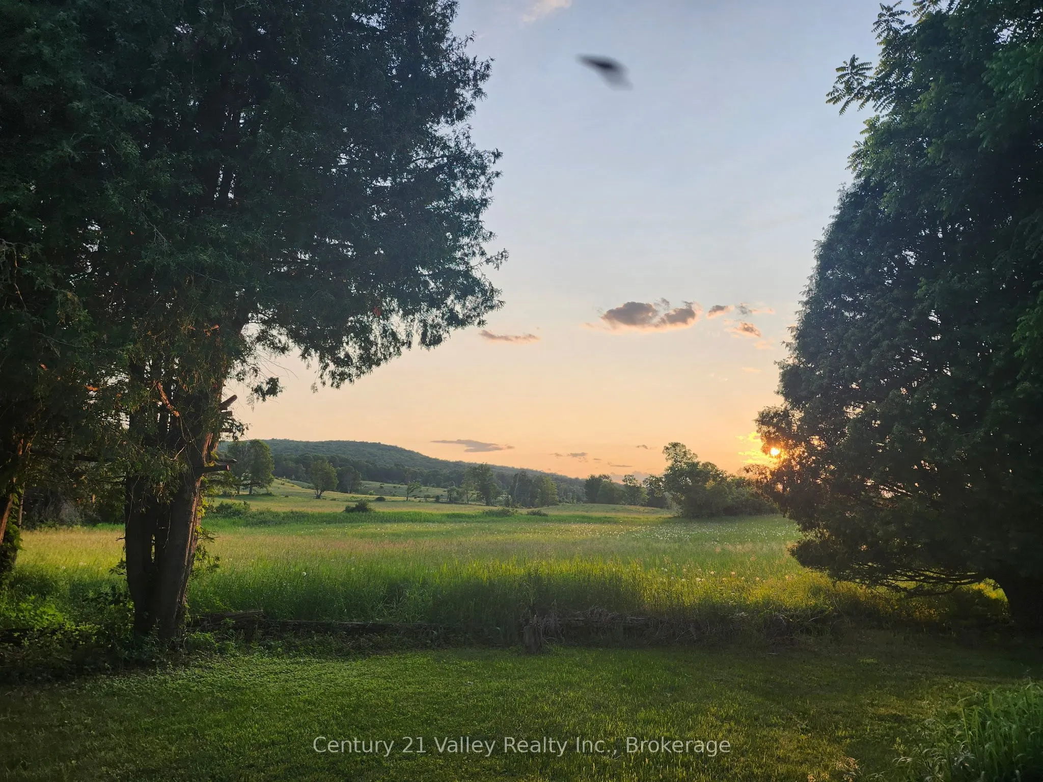 154 Mccauley Mountain Road