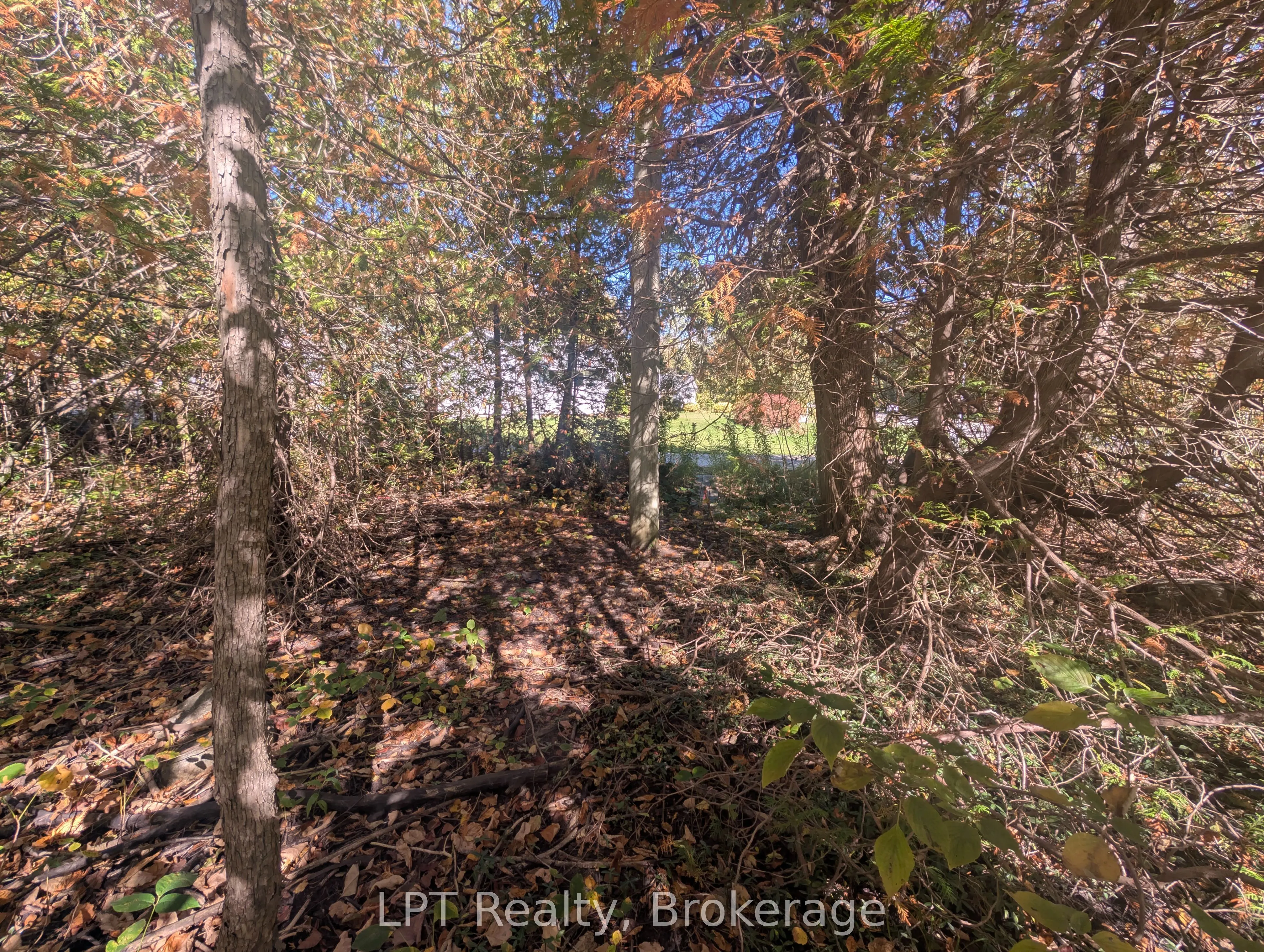 LT 166 Mallory Beach Road