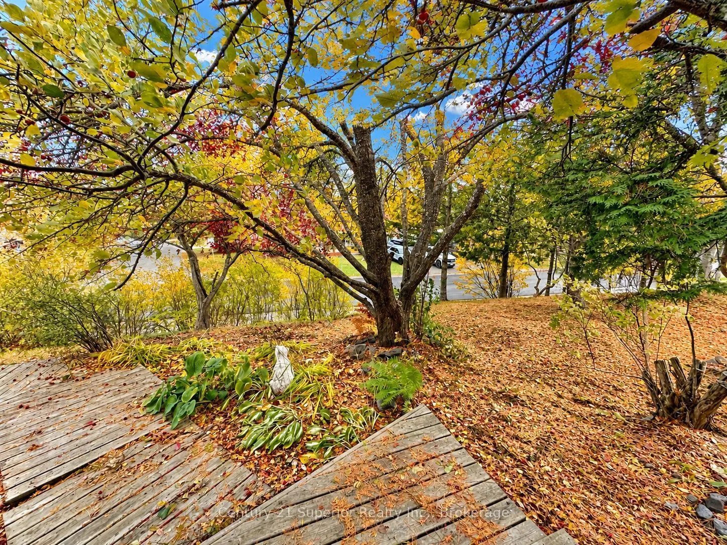 162 Greenmantle Drive