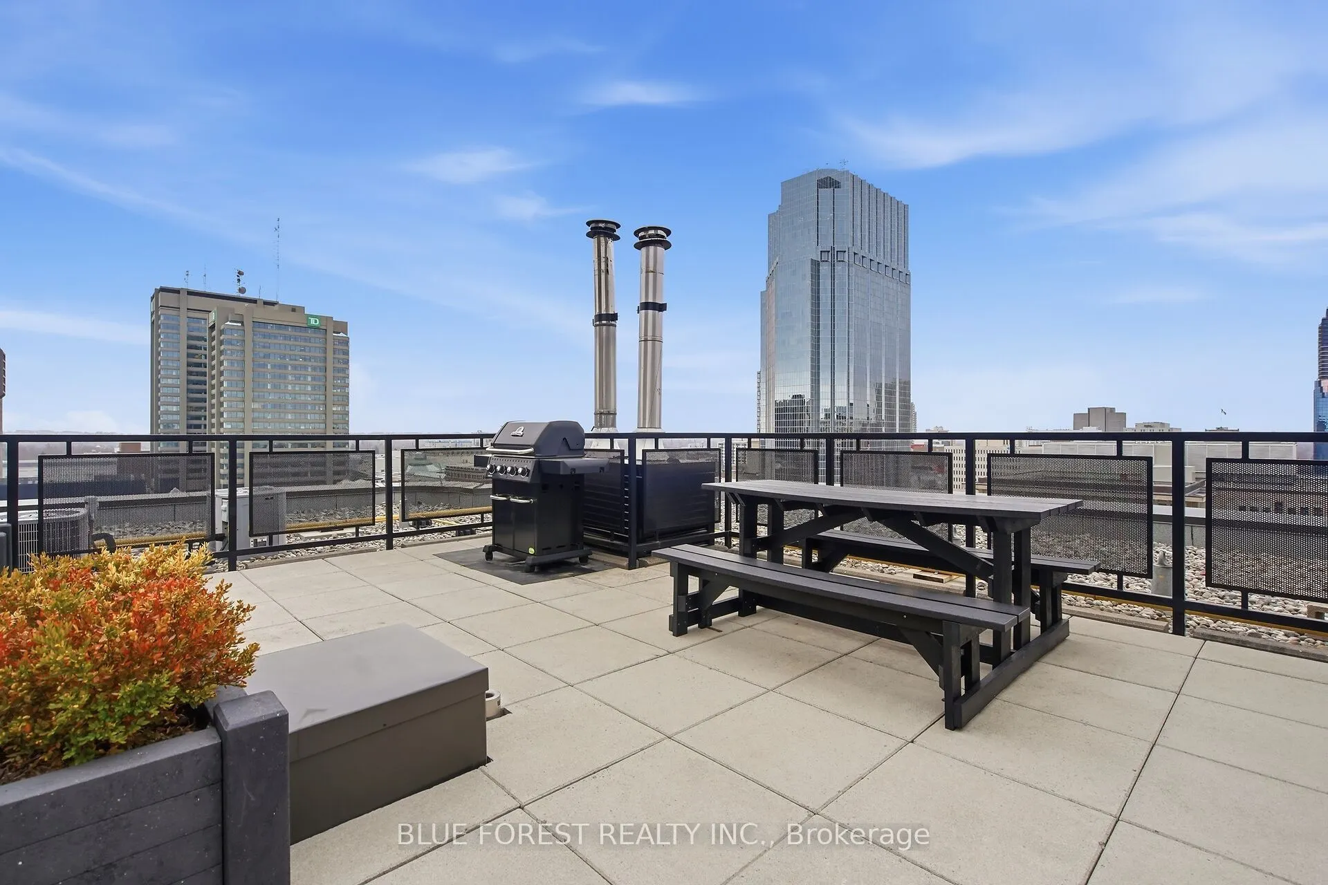7 Picton Street #404