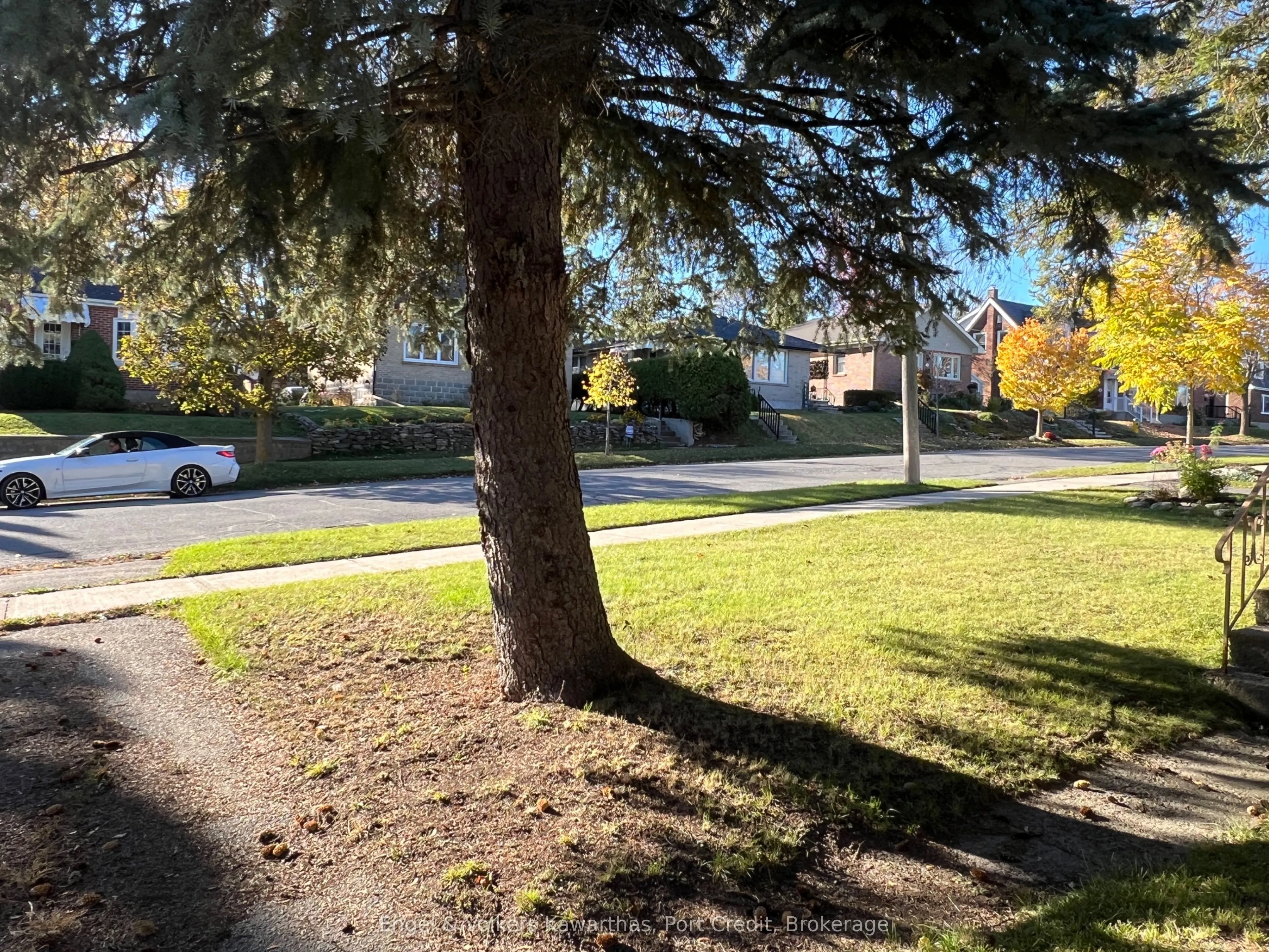 770 Curtis Road