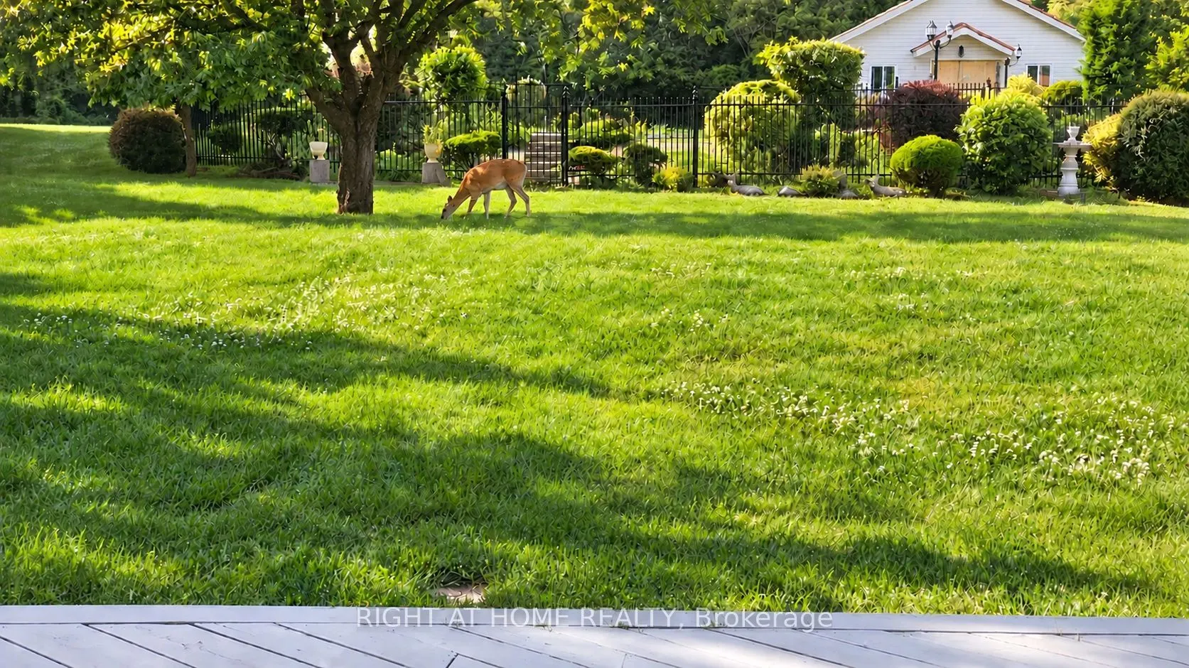 3 Cedar Avenue
