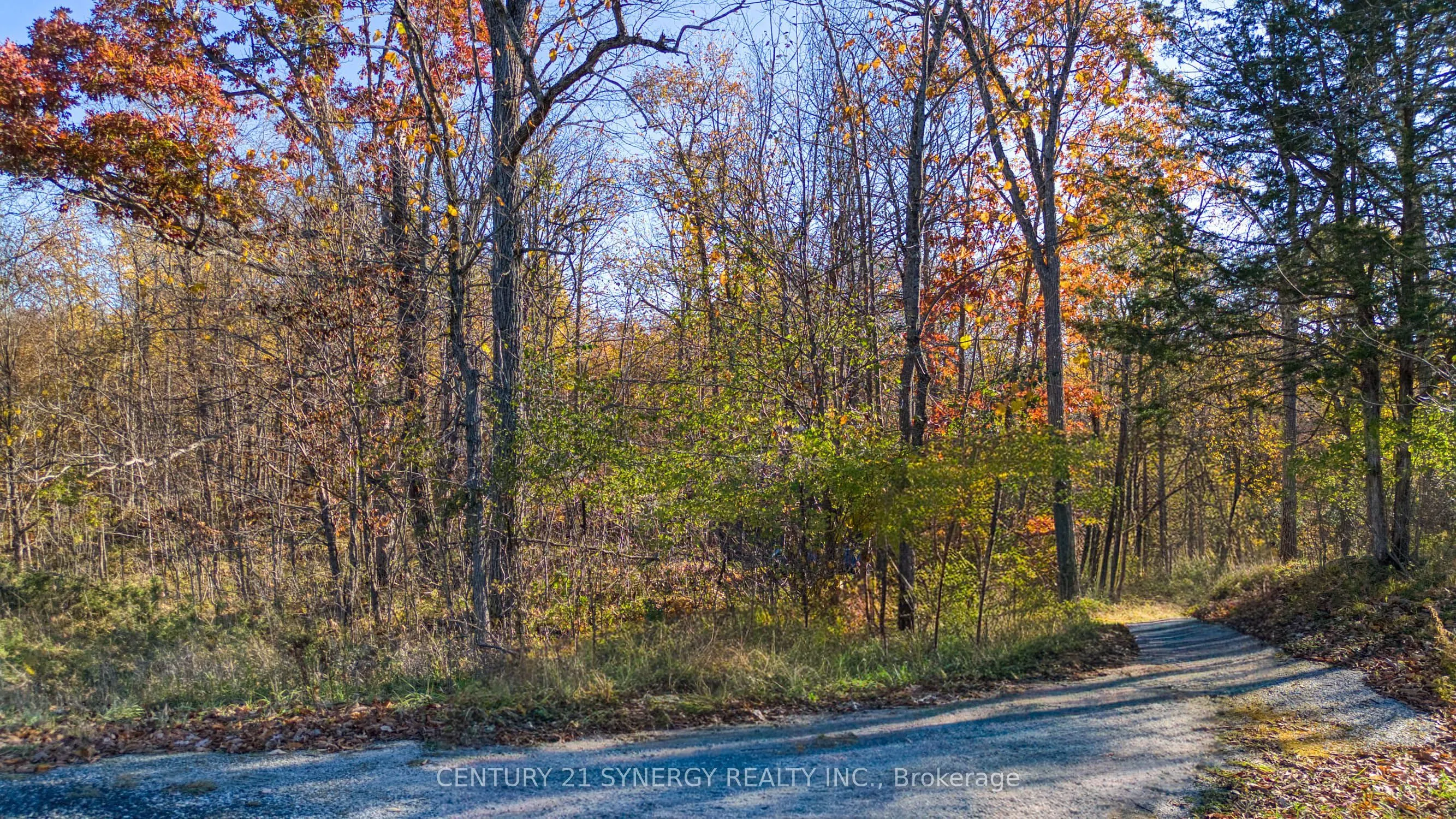 635 Miner's Point Rd, Rr3 Road