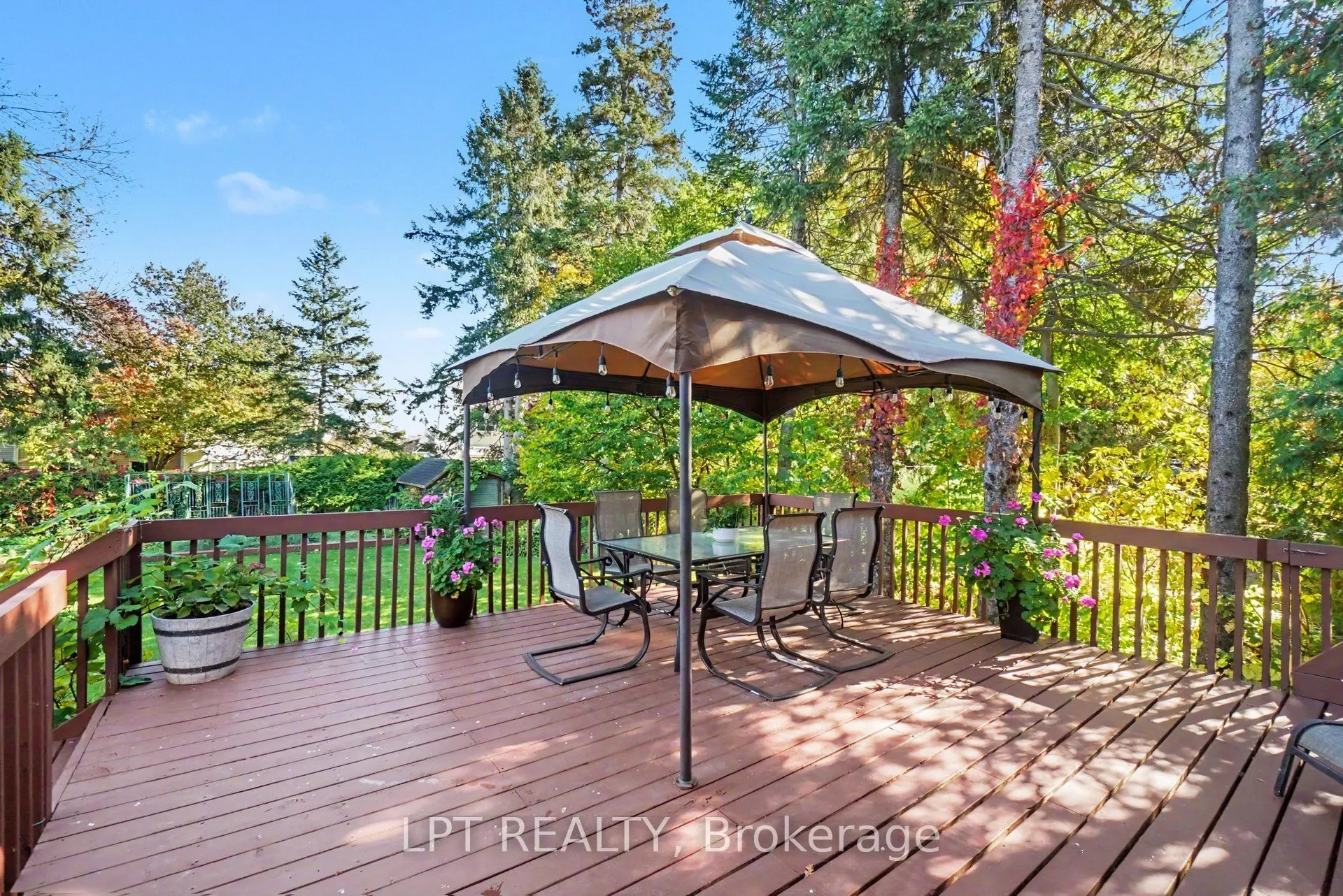 24 Belleview Drive