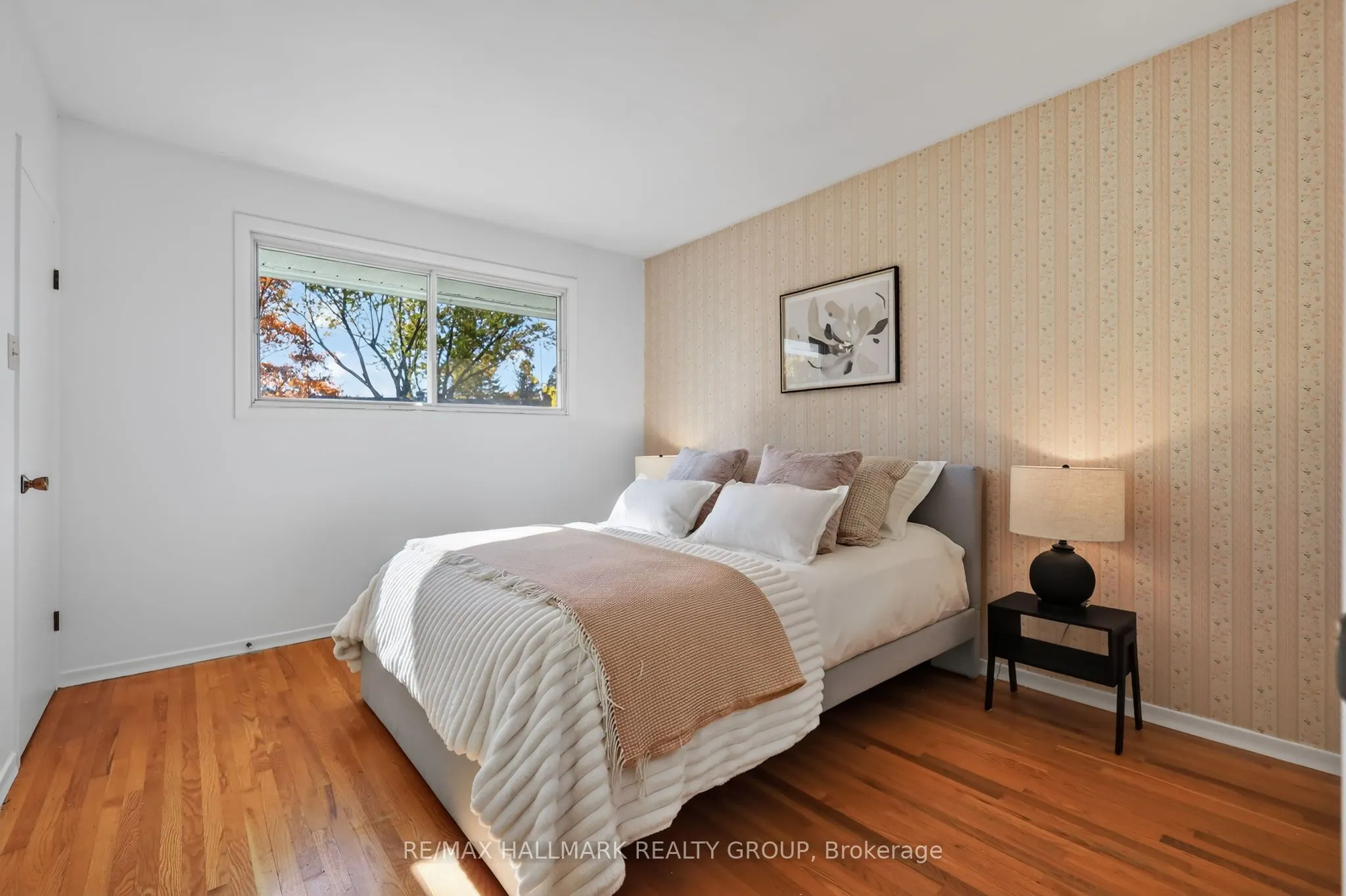 44 Singal Street