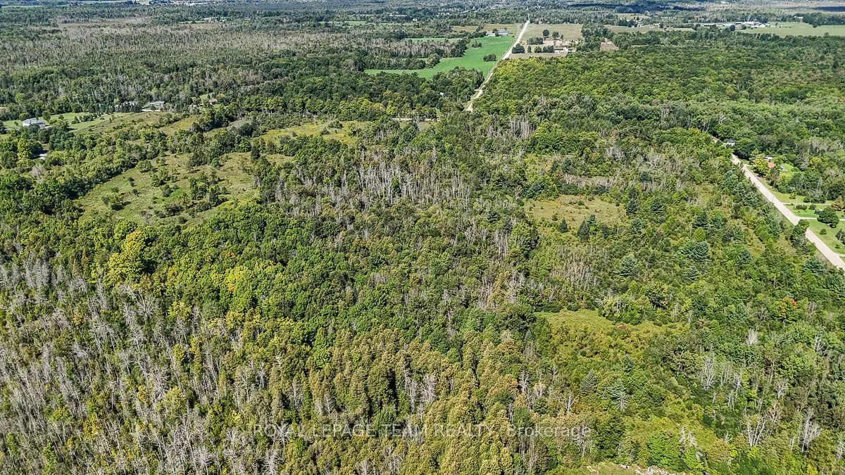 00 Ford Road