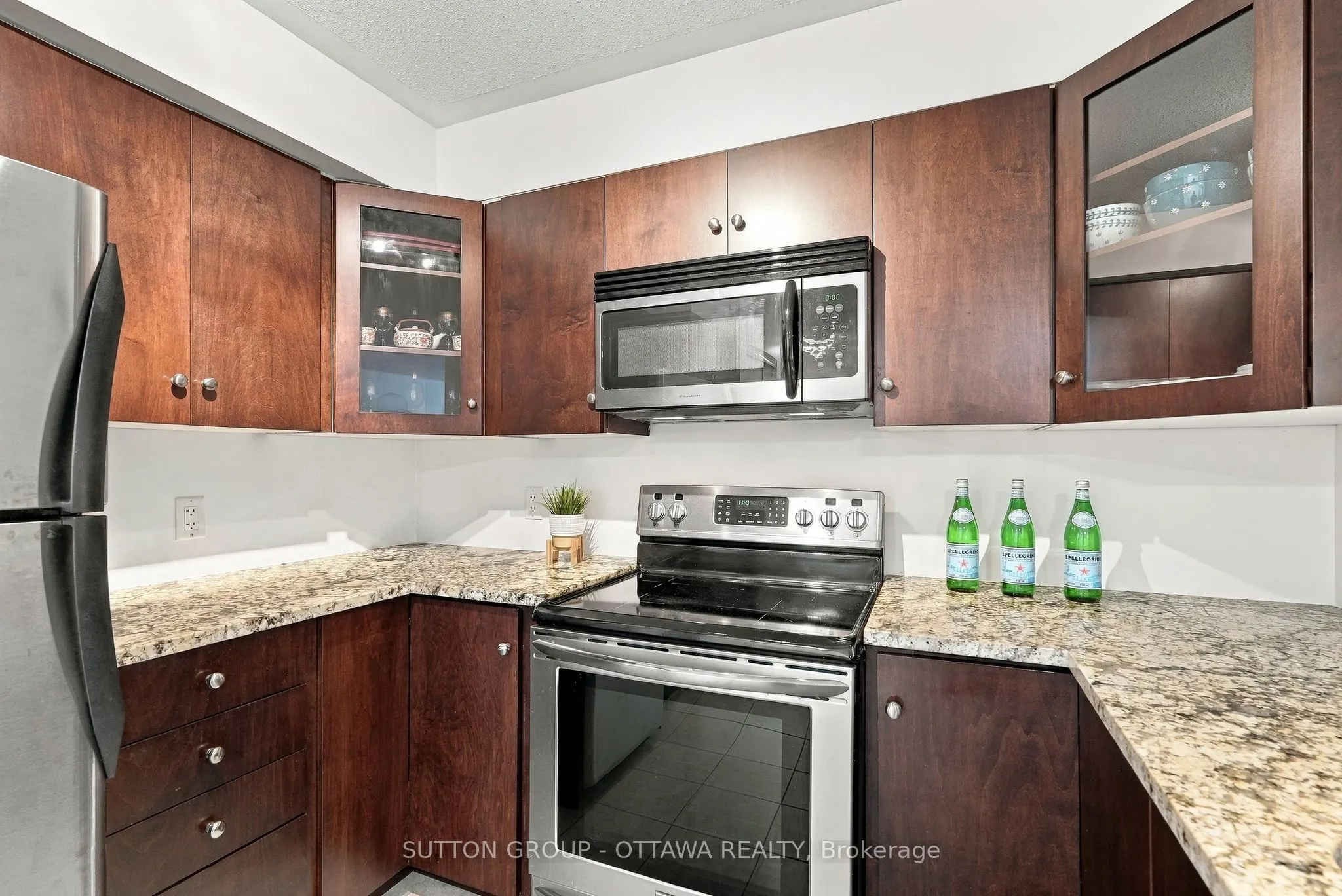 138 Somerset Street W #1012