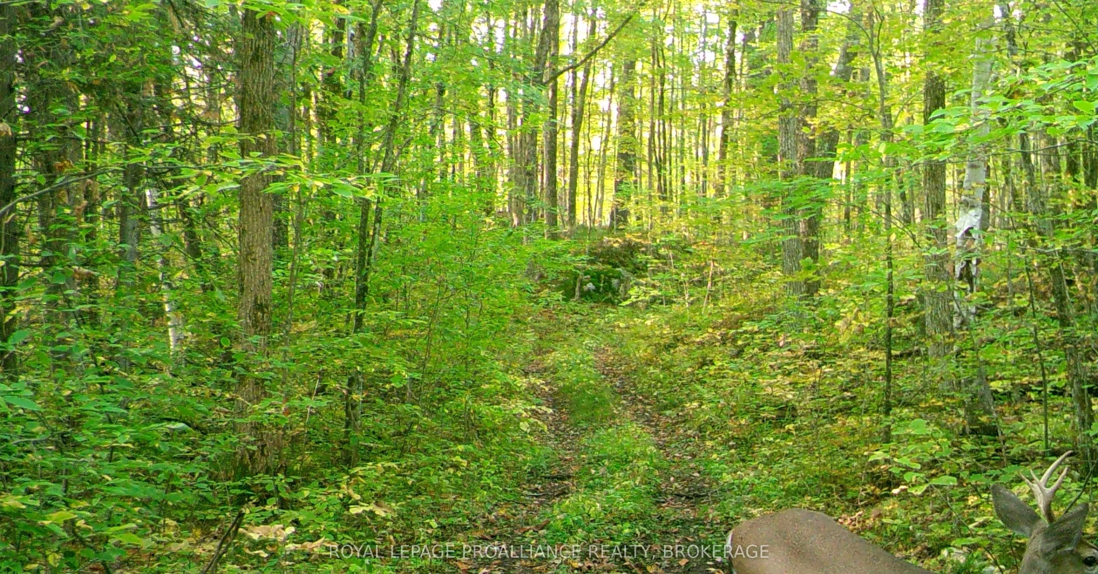 Lot 6 California Road