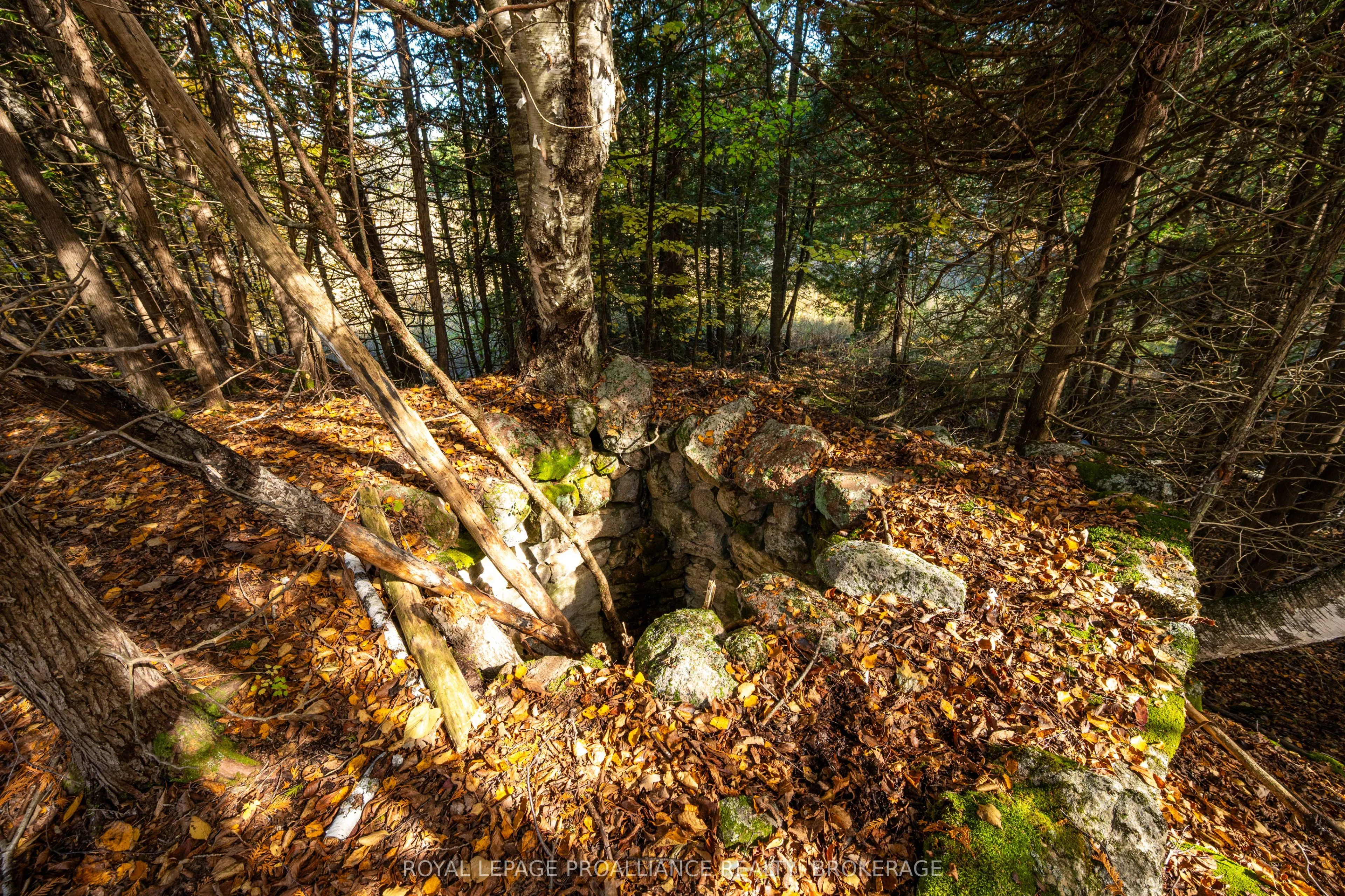 Lot 6 California Road