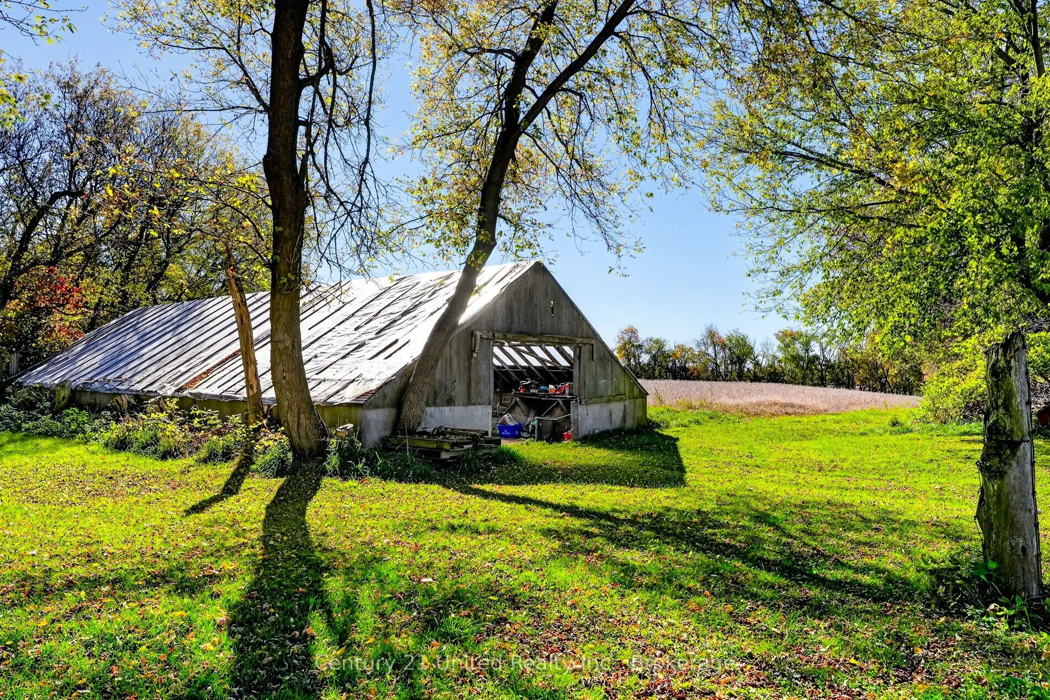 334 Silver Maple Road