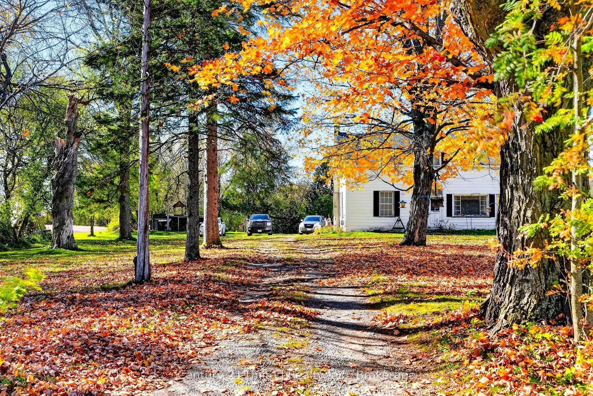 334 Silver Maple Road