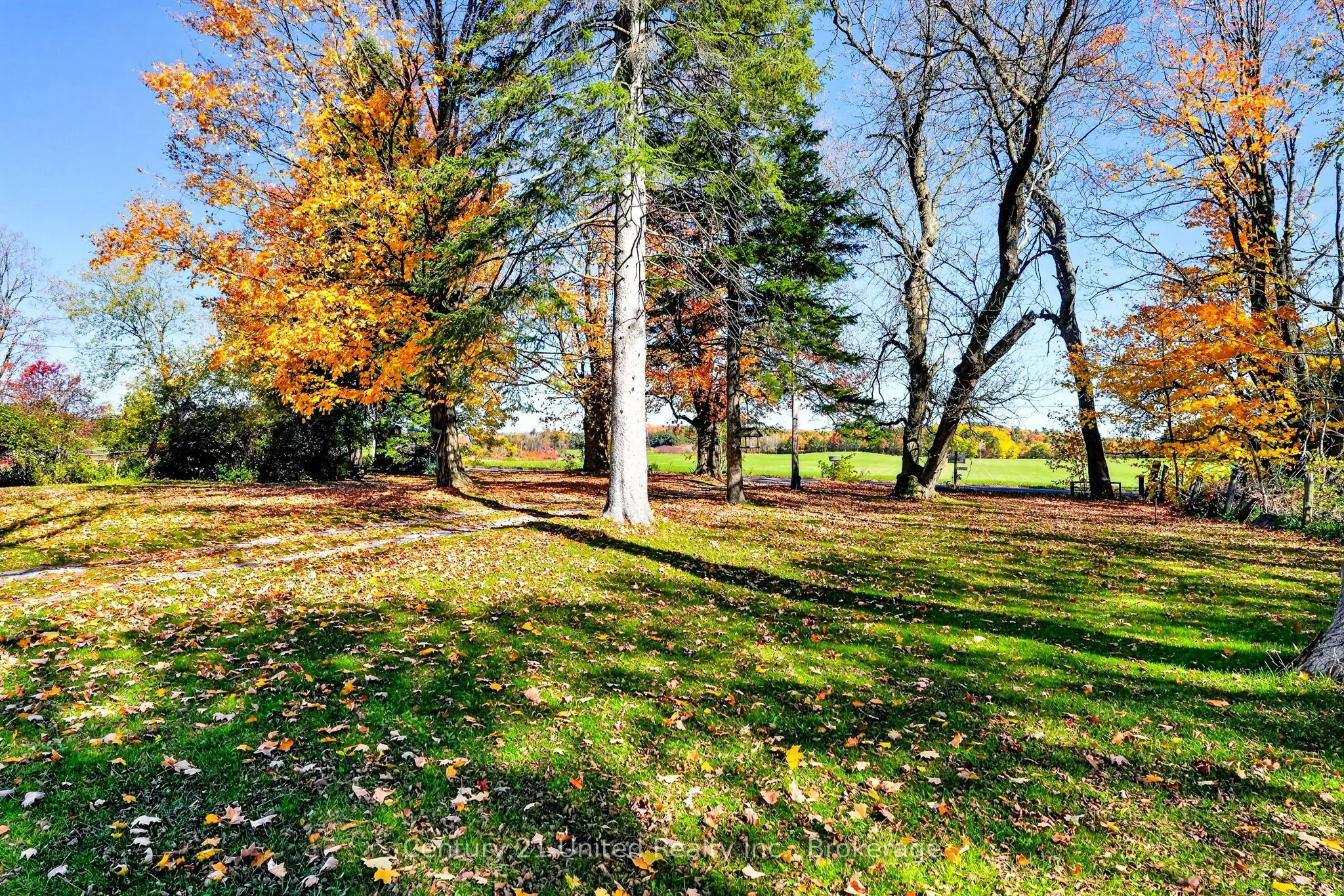 334 Silver Maple Road